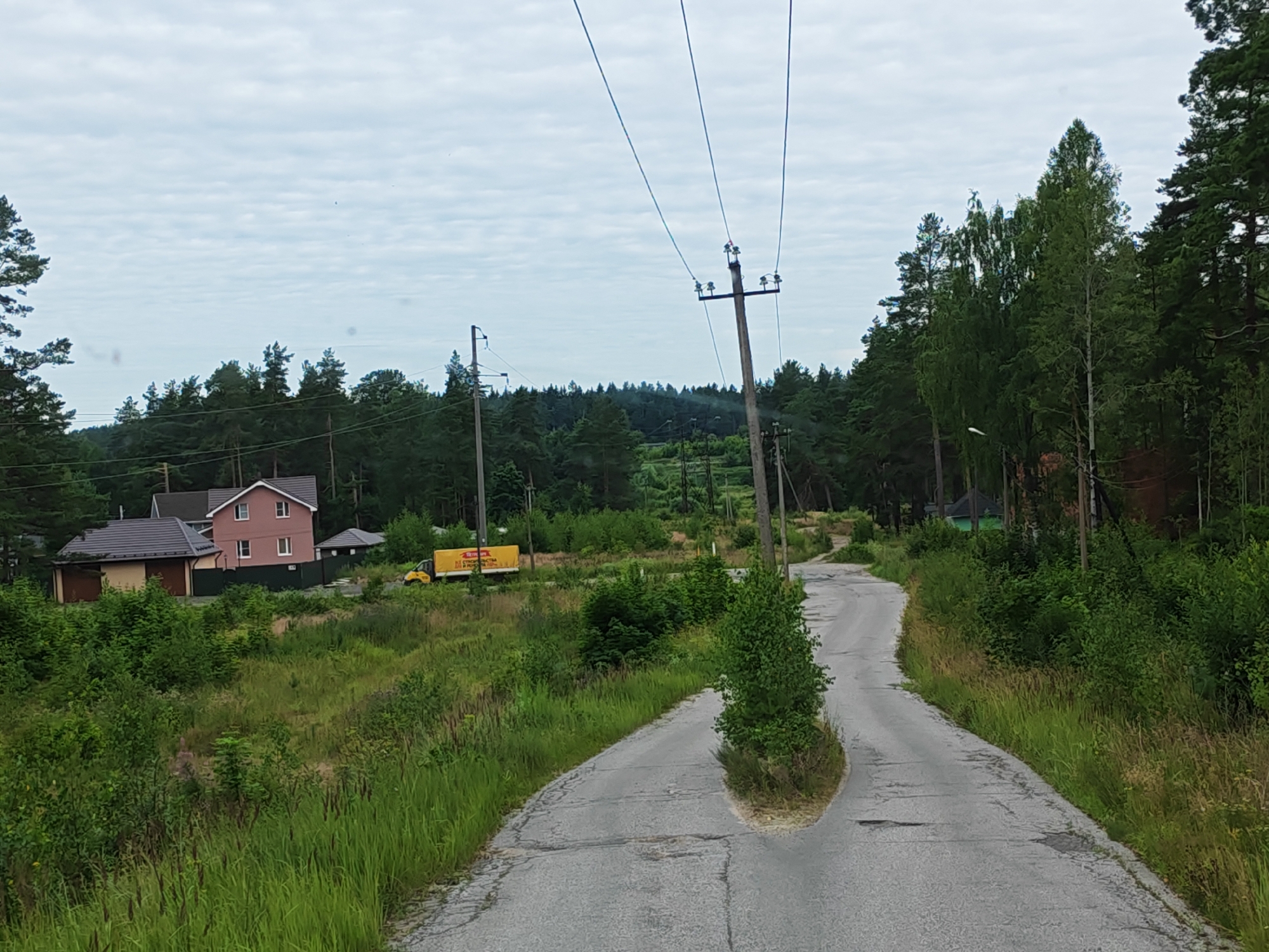 The image depicts a rural road in the city of Luga, Russia, on an overcast day. The road, paved with asphalt, curves through a landscape dominated by dense coniferous and deciduous forests. Along the left side of the road, there is a residential area featuring two houses, one with a light pink facade and a dark tiled roof, and another attached structure with a dark tiled roof and a garage. A yellow truck with visible Russian text is parked further down the road. Power lines supported by wooden poles run across the scene, with one pole appearing to lean precariously. The road itself shows signs of wear and tear, with cracks and patches visible. Vegetation, including tall grass and various shrubs, lines the sides of the road, encroaching on the paved surface in some areas. A small, isolated tree grows directly in the middle of the road, at a point where the road appears to split and then merge again. The sky is filled with a blanket of grey, textured clouds, suggesting a cool or damp climate. There are no people visible in the image.