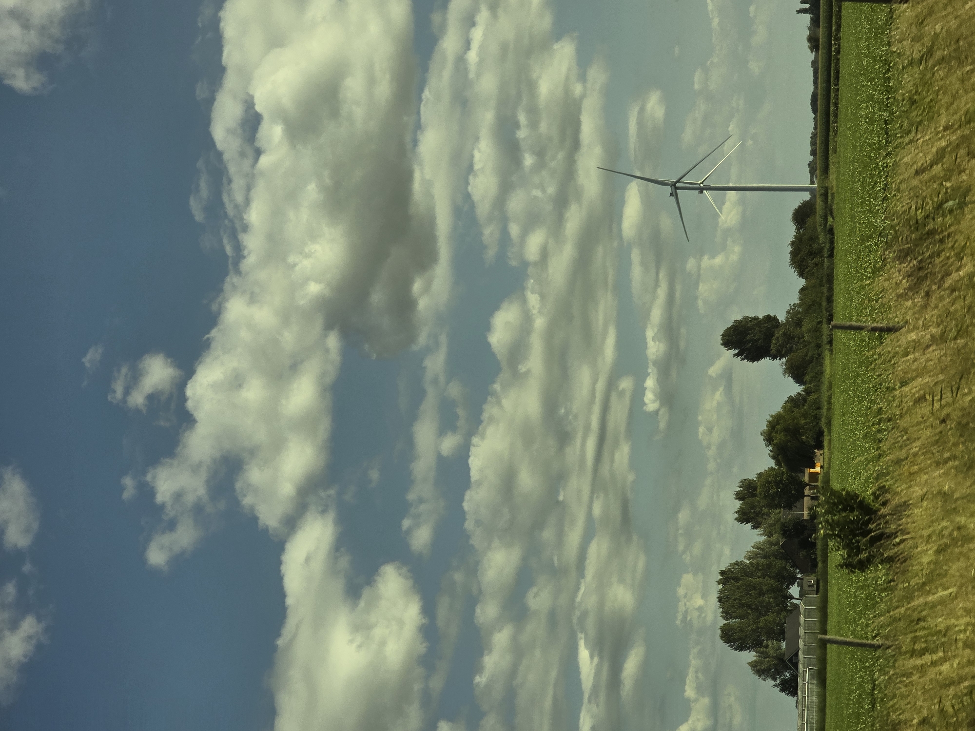 A long shot captures a rural landscape under a partly cloudy sky. In the foreground, tall dry grasses line a field, with a rustic wooden fence post visible. Beyond the grasses, a vibrant green field stretches towards a line of trees and buildings. The buildings appear to be a farmhouse with greenhouses. Further in the distance, a lone wind turbine stands tall against the sky, its blades silhouetted. The sky is a deep blue, punctuated by fluffy white clouds. The image appears to be taken in Terheijden, Netherlands.
