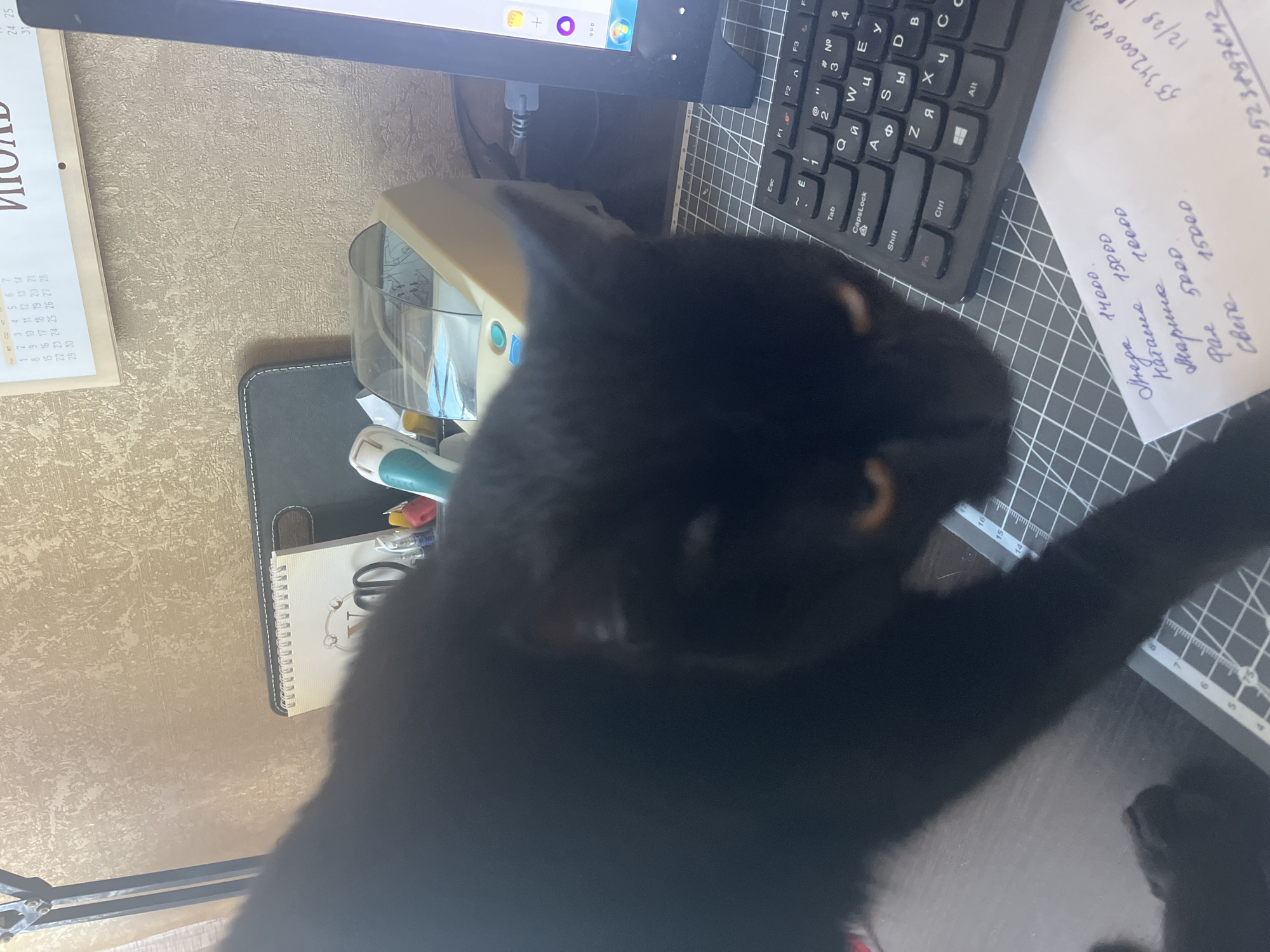 A black cat is in the foreground of the image, obscuring much of the scene. It is positioned on a desk with a cutting mat. In the background, a computer monitor, keyboard, and various office supplies are visible. A calendar with Russian text is also present. The environment appears to be an indoor workspace. No specific location information for Vladimirovka, Russia can be determined from the visual data.