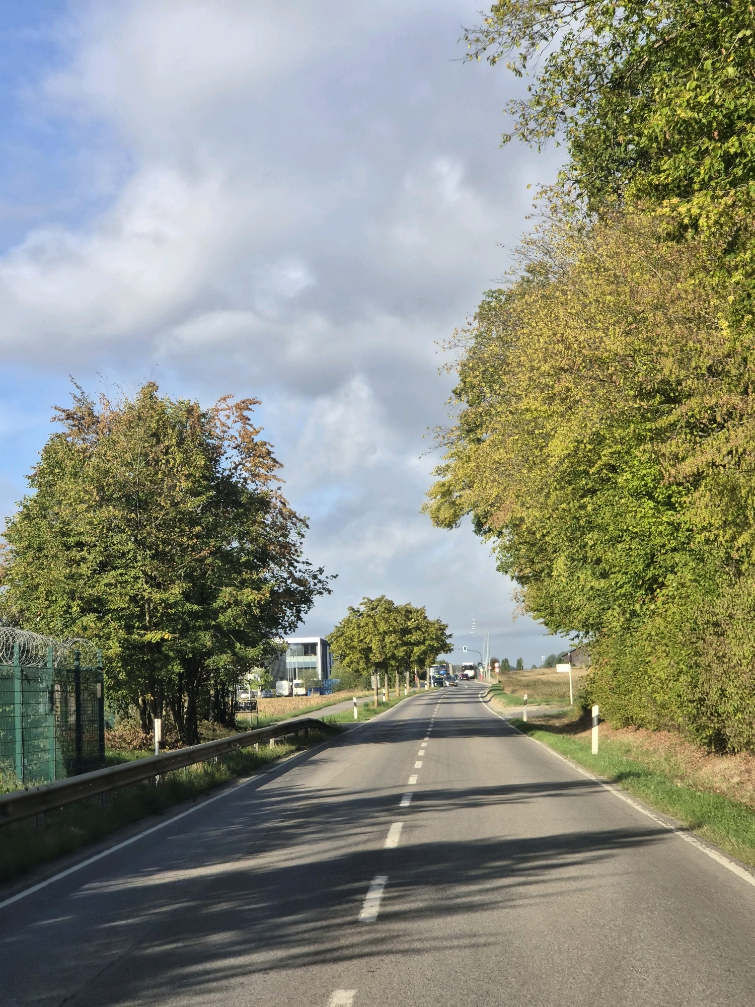 This is a downward-facing, eye-level, medium shot of a road curving slightly to the left, set in a rural or semi-rural area, likely Leudelange, Luxembourg, given the context. The road is asphalt, with white dashed lines marking the lanes. Tall, mature trees with lush green and some autumnal yellow foliage line both sides of the road, creating a canopy effect. The sun is casting long, dappled shadows from the trees onto the road.
On the left side of the road, there is a green metal fence with barbed wire at the top, indicating a boundary or secured area. Behind the fence, a modern, multi-story building with large windows is visible, suggesting an industrial or commercial facility. Several vehicles, including vans and what appears to be a truck, are moving away from the viewer on the road in the distance.
On the right side of the road, more trees and dense foliage are present. White and black marker posts are positioned along the verge, typical of European roads. The sky above is a mix of blue with scattered, fluffy white and gray clouds. The overall impression is of a bright, possibly autumn day with a slight overcast. There are no people visible in the image.