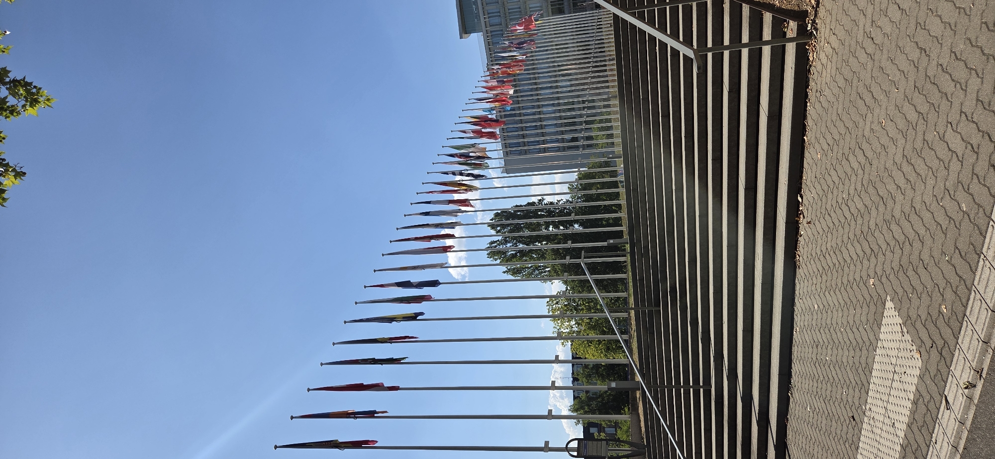 A long row of national flags flies from tall poles against a clear blue sky. The flags are spaced evenly and appear to be of various countries. In the foreground, a wide set of concrete stairs leads up to a walkway lined with more flagpoles. The steps are wide and angled, with metal railings on either side. The walkway at the top of the stairs is paved with interlocking bricks. Beyond the flags, a modern building with a glass facade is visible. Trees with green foliage are interspersed among the flagpoles and behind the building. The overall scene suggests an official or ceremonial location, possibly in a city known for international presence like Strasbourg, France, given the numerous flags. The lighting indicates it is daytime, with shadows cast by the stairs and railings. There are no people visible in the image.