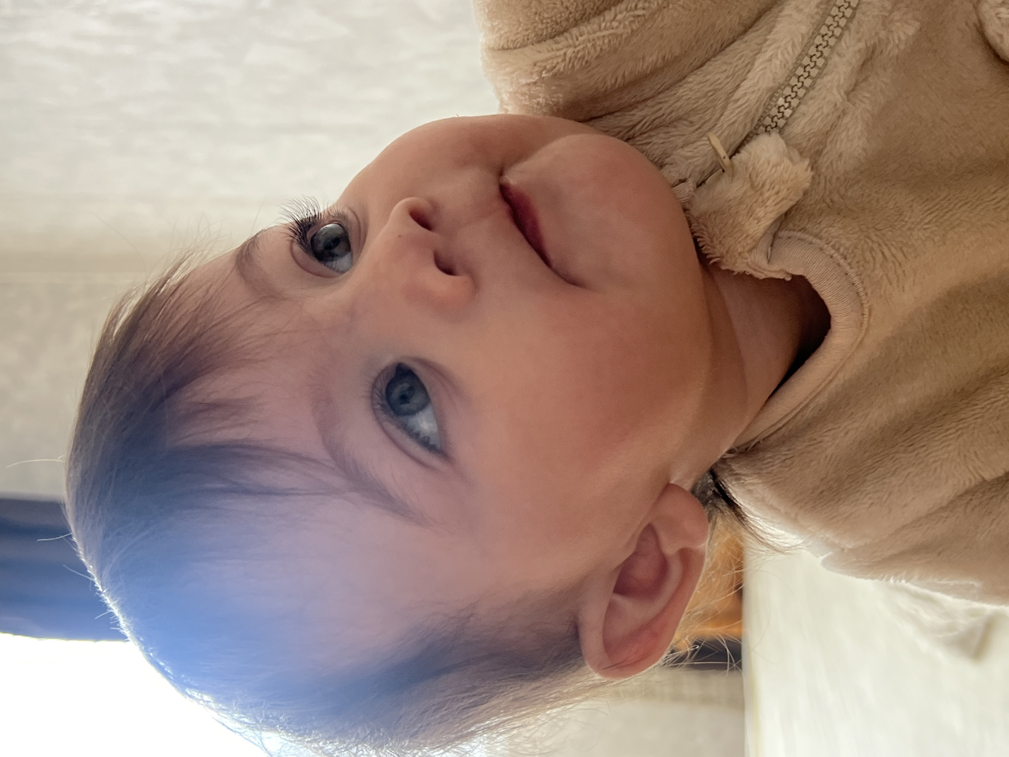 A close-up, angled portrait shot depicts a baby, approximately six to twelve months old, situated indoors in Elena, Bulgaria. The baby has fair skin, dark brown hair, and blue-gray eyes, which are directed upwards and to the right of the frame, indicating a gaze at an unseen object or person. The facial expression shows a slight pout or tension in the lips. The baby is wearing a light beige, fuzzy, fleece-like zippered garment, with the zipper pull visible on the right side of the chest. A bright, out-of-focus light source is present in the upper left background, possibly a window, casting a soft illumination. The background on the upper right features a textured, light-colored wall, while the lower background is indistinct and light-toned.