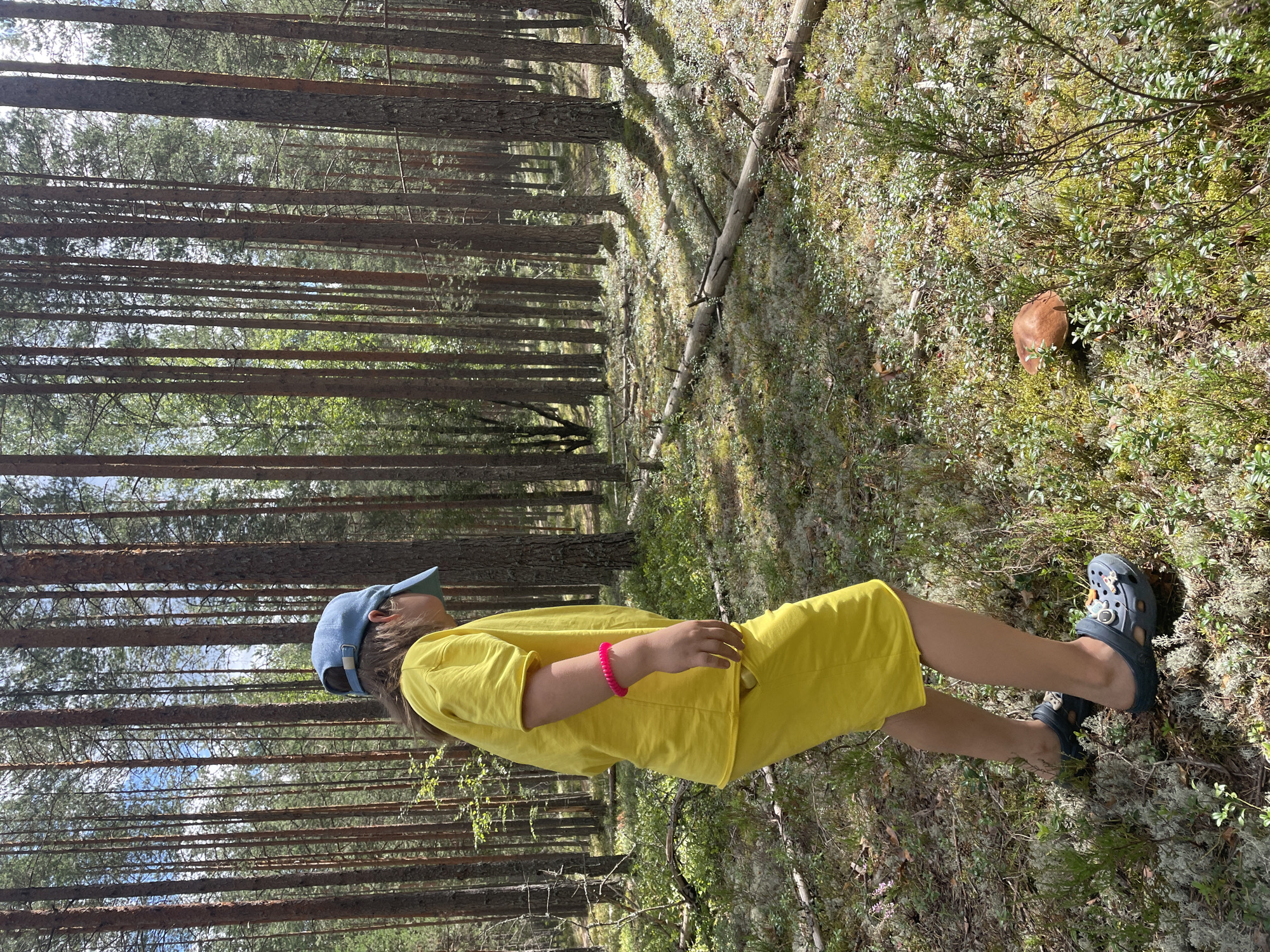In Dom Otdykha, Russia, a young person wearing a bright yellow t-shirt and shorts, a blue baseball cap, and dark clogs with charms, is walking through a dense pine forest. The person is observed from behind and to the side, with their left arm adorned with a bright pink bracelet. They are looking down at a single, brown mushroom on the forest floor. The ground is covered in moss, small green plants, and scattered pine needles. Sunlight filters through the tall pine trees, creating dappled shadows on the forest floor. A fallen log lies horizontally across the scene in the middle ground. The overall environment is one of a natural, wooded area.