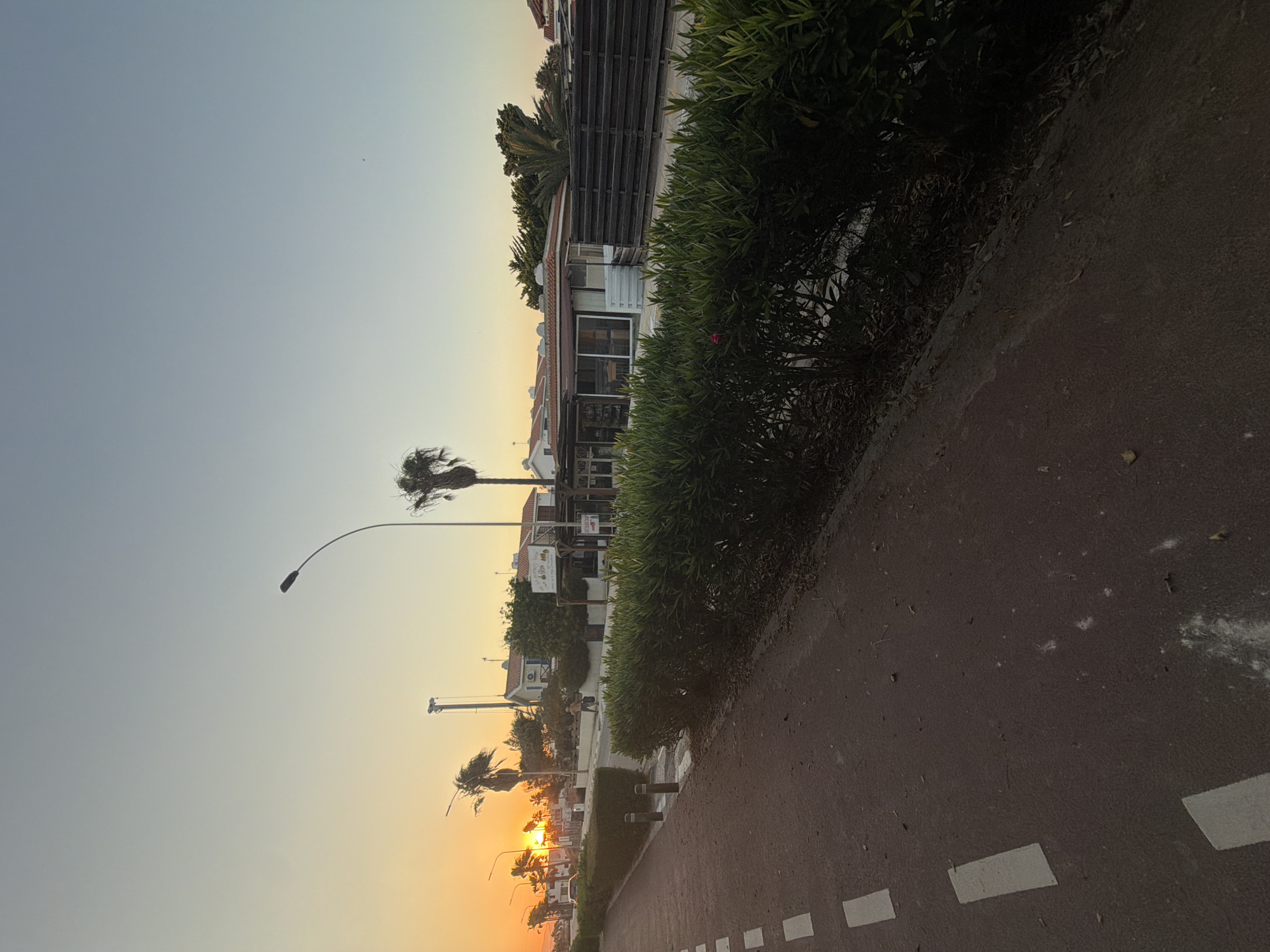 The image depicts a seaside promenade in Meneou, Cyprus, during sunset. The sun, low on the horizon, casts a warm, orange glow, illuminating the sky with hues of yellow and blue. A paved walkway, marked with white dashed lines, runs along the left side of the frame, suggesting a pedestrian or bicycle path.
On the right side of the walkway, a dense, green hedge lines the perimeter of a commercial area. Behind the hedge, a row of buildings, likely cafes or shops, can be seen. These establishments feature glass windows and awnings, characteristic of coastal businesses. Palm trees, a common sight in Cyprus, are scattered throughout the scene, some with lush foliage and others appearing windswept.
The street is relatively quiet, with a single individual walking in the distance. A lamppost stands tall near the buildings, its light fixture pointed downwards. The overall atmosphere is serene and tranquil, indicative of a peaceful evening by the Mediterranean Sea. The image captures the essence of a coastal town during a beautiful sunset.