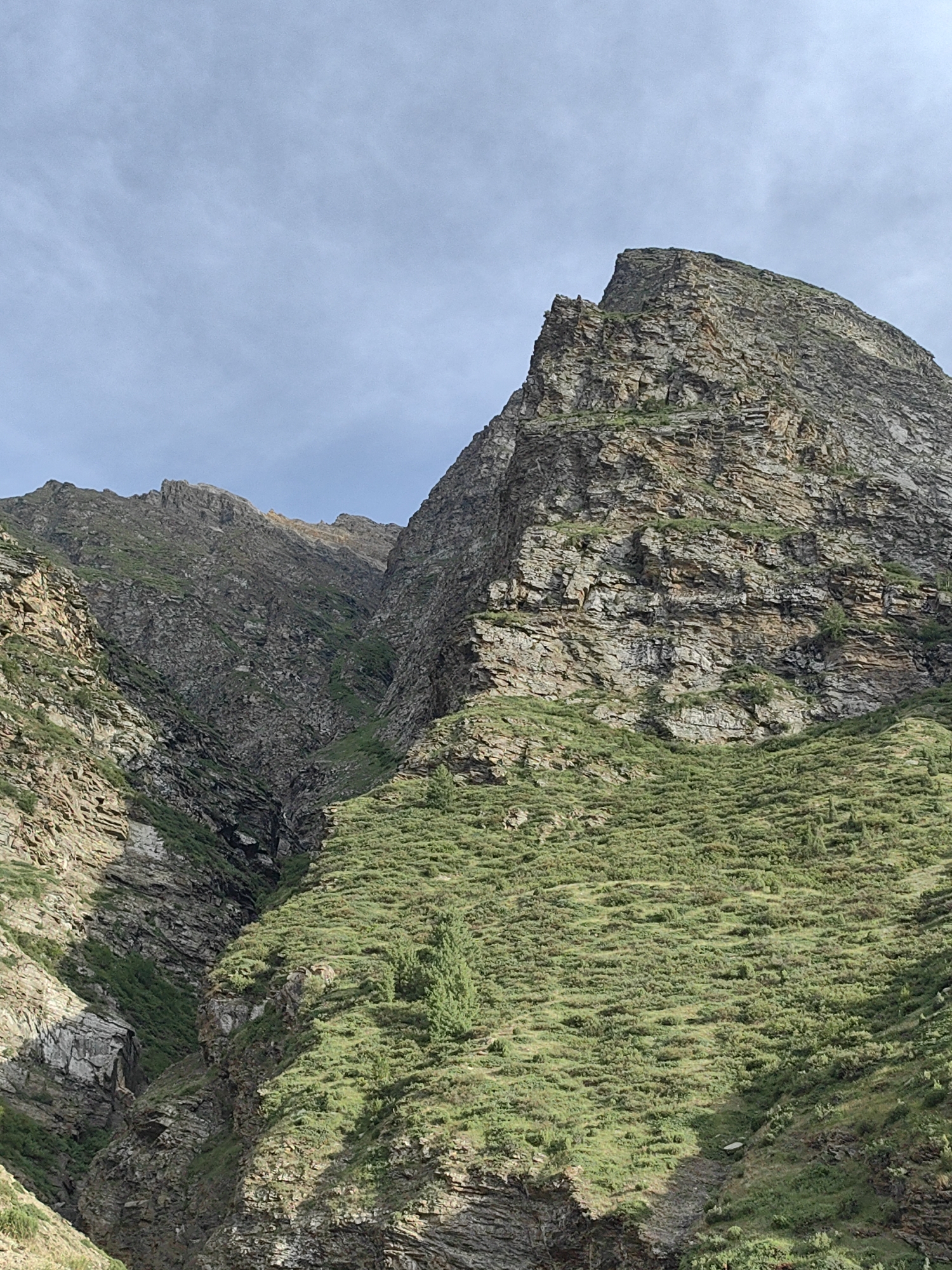 The image shows a rugged mountainous landscape under a hazy blue sky. The foreground is dominated by steep, rocky slopes covered in dense green vegetation. The mountains are characterized by layers of rock formations and deep ravines. In the distance, higher peaks are visible, some with jagged tops. The overall impression is one of a remote and wild natural environment. This scene is located in the vicinity of Tandi, India, a region known for its dramatic Himalayan scenery.