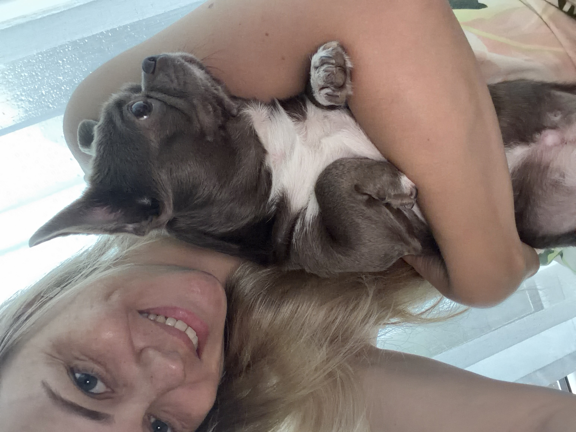 A blonde woman smiles as she holds a small gray and white dog in her arms. The woman's face is in the upper left corner of the image, with her hair falling around her shoulders. The dog is positioned in the center of the image, looking to the right. The background appears to be a window with sheer curtains. This image was taken in Votkinsk, Russia.