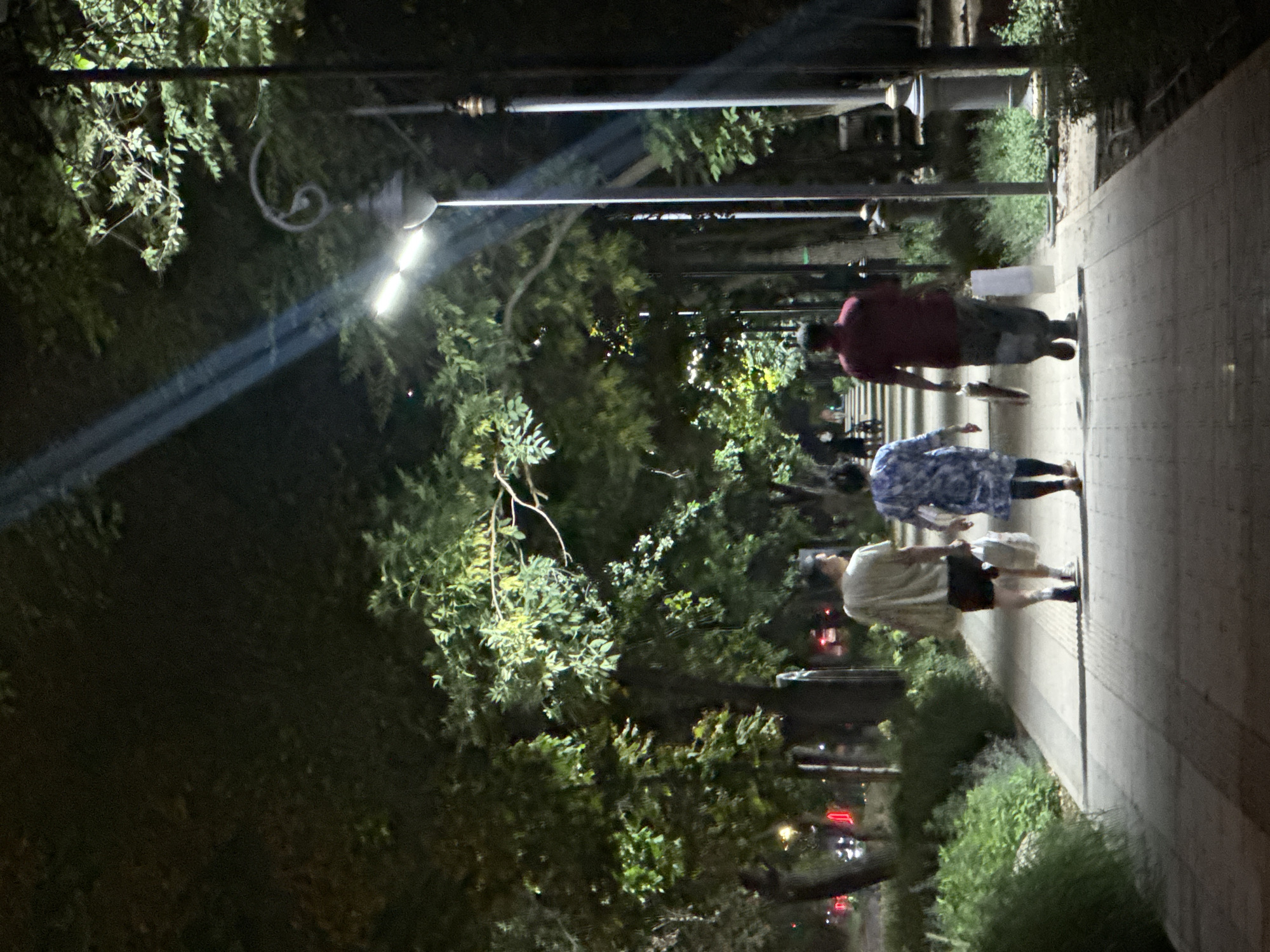 A nighttime view shows three individuals walking away from the camera on a paved pedestrian walkway lined with trees and lampposts. The walkway is illuminated by the lampposts, casting light and shadows. The trees on either side create a canopy overhead, with some leaves catching the light. In the background, blurred lights suggest the presence of a city or urban area, possibly within Almaty, Kazakhstan, given the lamppost design which is common in the city. The first person from the left wears a light-colored t-shirt and dark shorts, carrying a shopping bag. The middle person wears a blue and white patterned dress and also carries a shopping bag. The person on the right wears a maroon shirt and grey pants, carrying a shopping bag. The environment appears to be a park or a tree-lined avenue within a city.