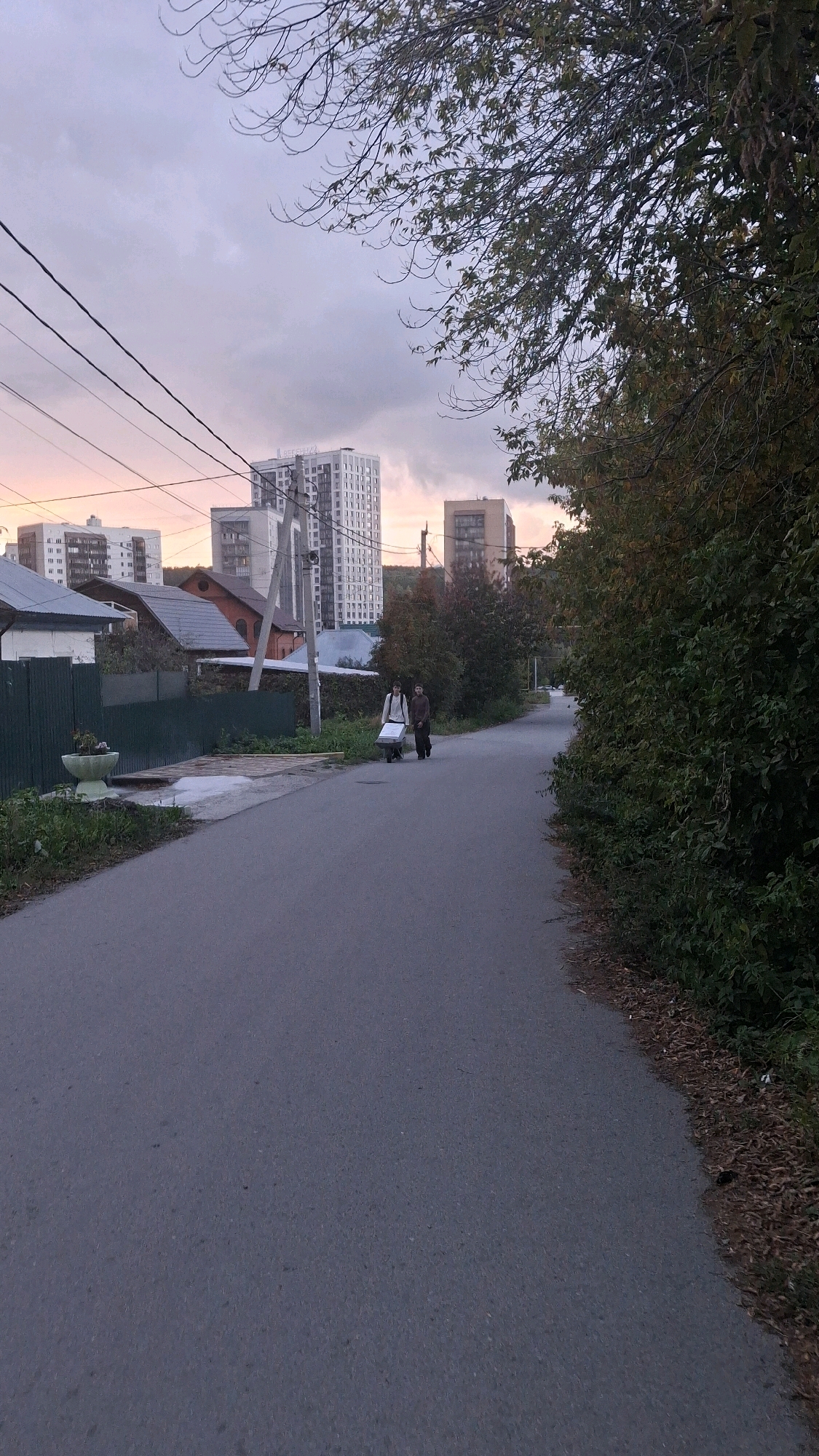 Two individuals, one wearing a light-colored jacket and the other a dark jacket, are pushing a wheeled cart along an asphalt road. The cart appears to be carrying a large, flat object, possibly a piece of furniture or construction material. They are walking away from the viewer, on the right side of the road. The road is lined with trees and vegetation on the right, and a green fence and houses on the left. In the background, tall apartment buildings are visible against a cloudy sky with hints of pink and orange from a sunset or sunrise. The scene appears to be a residential area on the outskirts of Novosibirsk, Russia, given the architectural style of the buildings and the presence of trees and a more rural road. The overall lighting suggests it is either early morning or late evening.