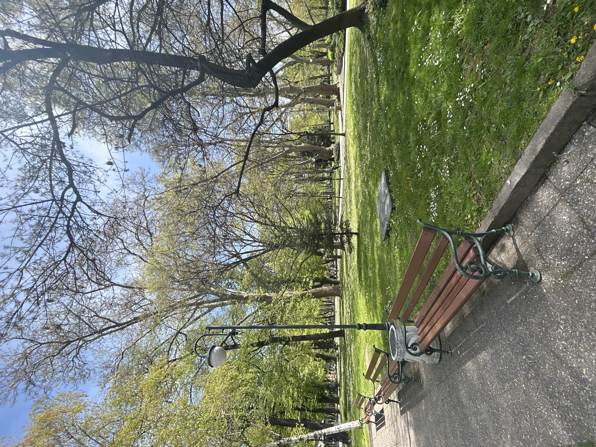 The vertical image presents a serene park scene in Plovdiv, Bulgaria, bathed in bright daylight. In the immediate foreground, a classic park bench with dark wooden slats and ornate dark green, scrolled metal armrests and legs is positioned on a grey, pebble-textured paved path. Next to the bench stands a tall lamppost featuring a distinctive white, spherical globe lamp. To the right of the path, a lush green lawn stretches into the midground, profusely dotted with small white daisies and a few yellow dandelions.
The paved path continues into the distance, flanked by an avenue of trees. Many of these trees display intricate networks of bare branches, while others show the fresh, light green leaves of early spring. Another similar park bench is partially visible further down the path. The presence of clear shadows suggests a sunny day, likely morning or early afternoon. The background consists of more dense green foliage from trees and sections of verdant grass. Above, the sky is a clear, bright blue with only faint wisps of clouds. The overall scene conveys a sense of tranquility. There is no visible text.
