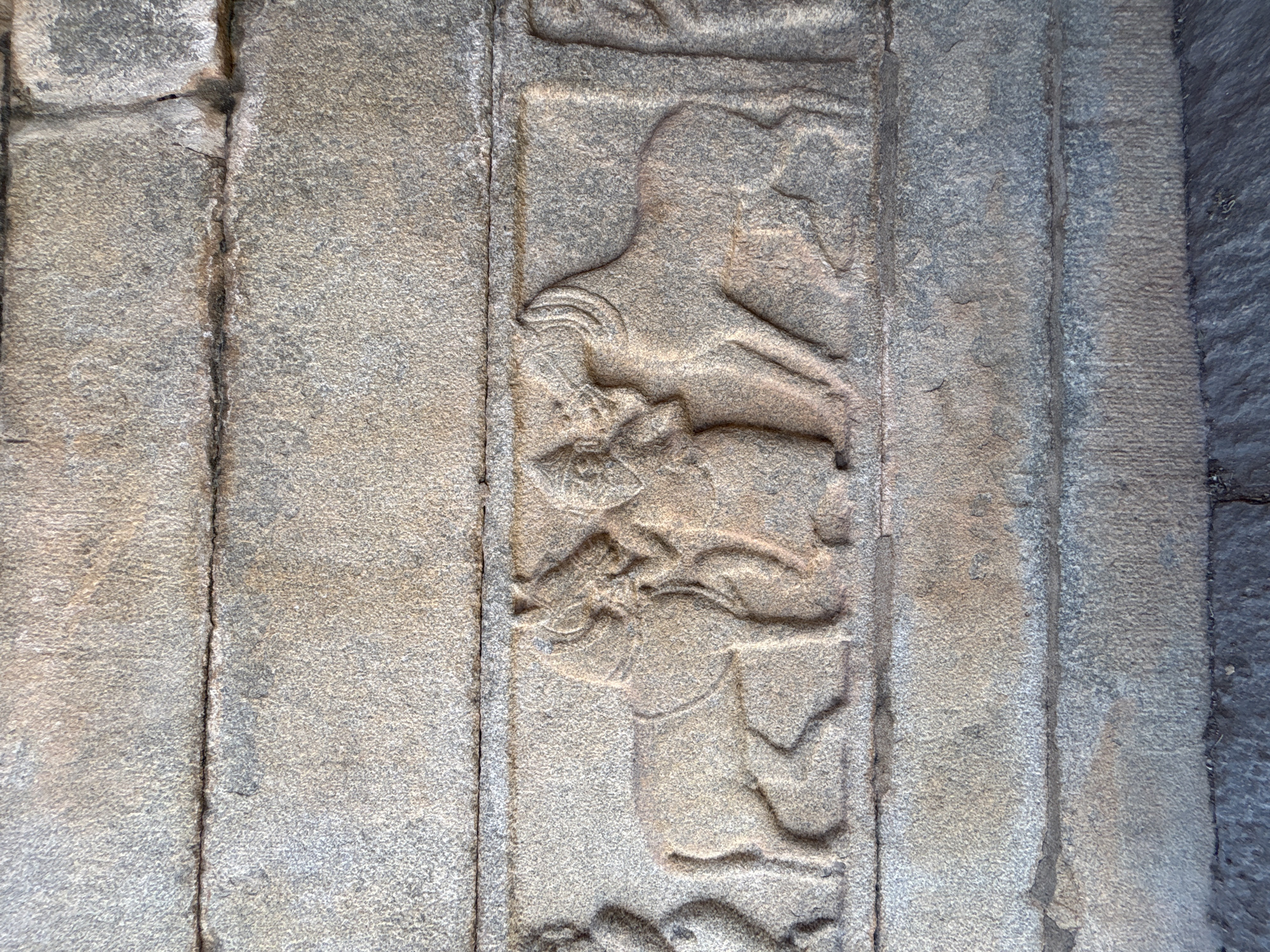 The image shows a stone bas-relief carving on a wall, likely part of a structure in Kamalapura, India. The carving depicts what appears to be a scene with animal figures. The top figure is a horse, in a leaping position. Below the horse are figures, which appear to be fighting. The style of the carving is simplified. The material is grey stone and appears to be worn by age and erosion. The wall section containing the relief is framed by vertical joints, indicating it is composed of individual stone blocks.