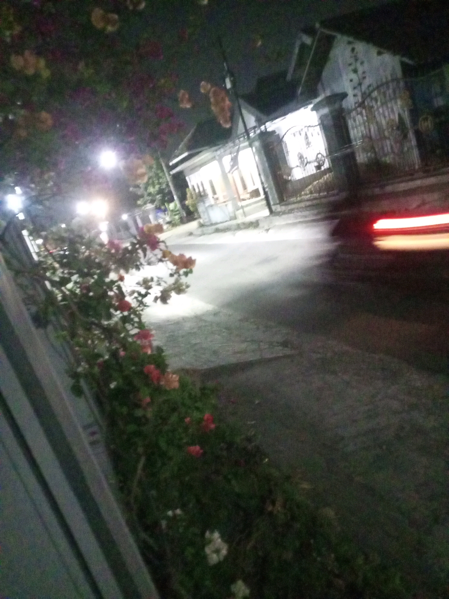 The image depicts a nighttime street scene in Ngasem, Indonesia. A vibrant bougainvillea plant with pink and red flowers cascades over a grey, ribbed fence on the left side of the frame. Beyond the fence, a street is visible, illuminated by streetlights and lights from a house. The house, with white walls and a dark roof, is partly obscured by trees. A bright red light trail, likely from a moving vehicle, streaks across the road in the lower right quadrant, indicating motion blur. The overall atmosphere is dimly lit, suggesting late evening or early morning hours.