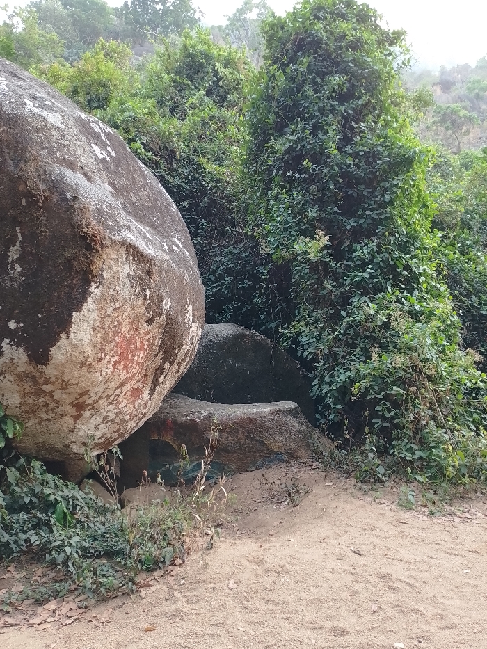 A cluster of massive, rounded boulders dominates the view. Lush, dense greenery with climbing vines blankets the background and right side, obscuring what lies beyond. A sandy path extends across the lower foreground, leading towards the rocks. Smaller plants and foliage grow at the base of the boulders and along the path's edge. The scene creates a sense of natural enclosure.