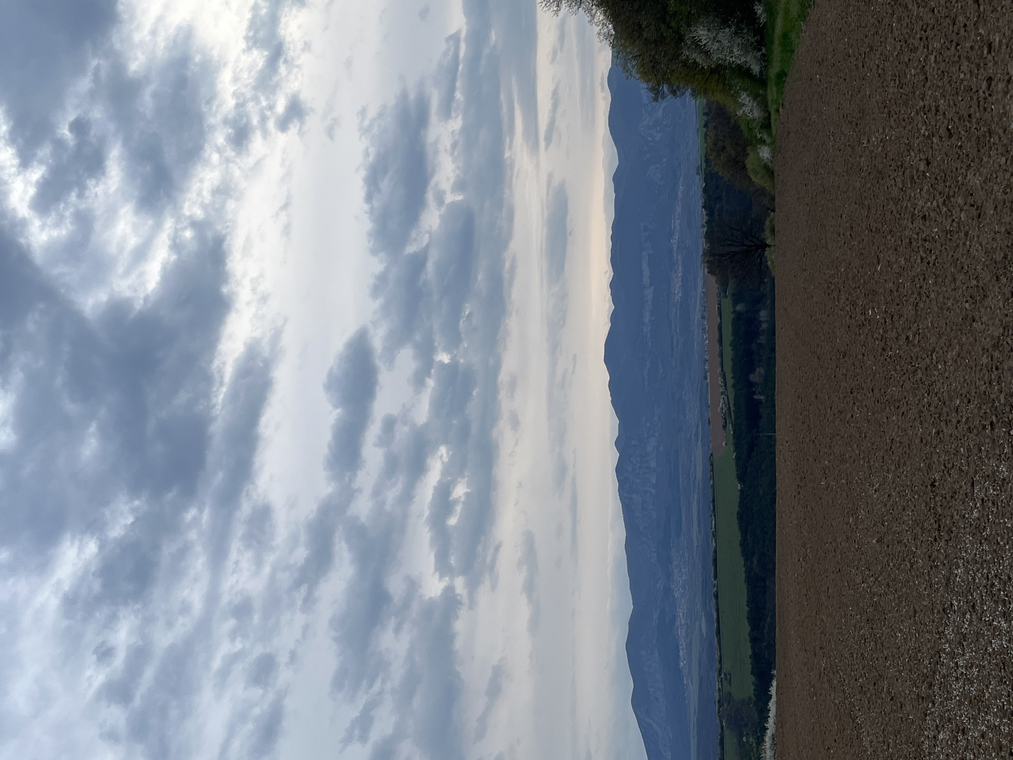 The image depicts a landscape near Bodenets, Bulgaria. The foreground consists of a recently plowed field with dark brown soil. Adjacent to the field is a strip of green vegetation with trees. Beyond this lies a valley, and further back, a mountain range with a light blue hue. The sky is overcast with gray and white clouds. No people are visible.