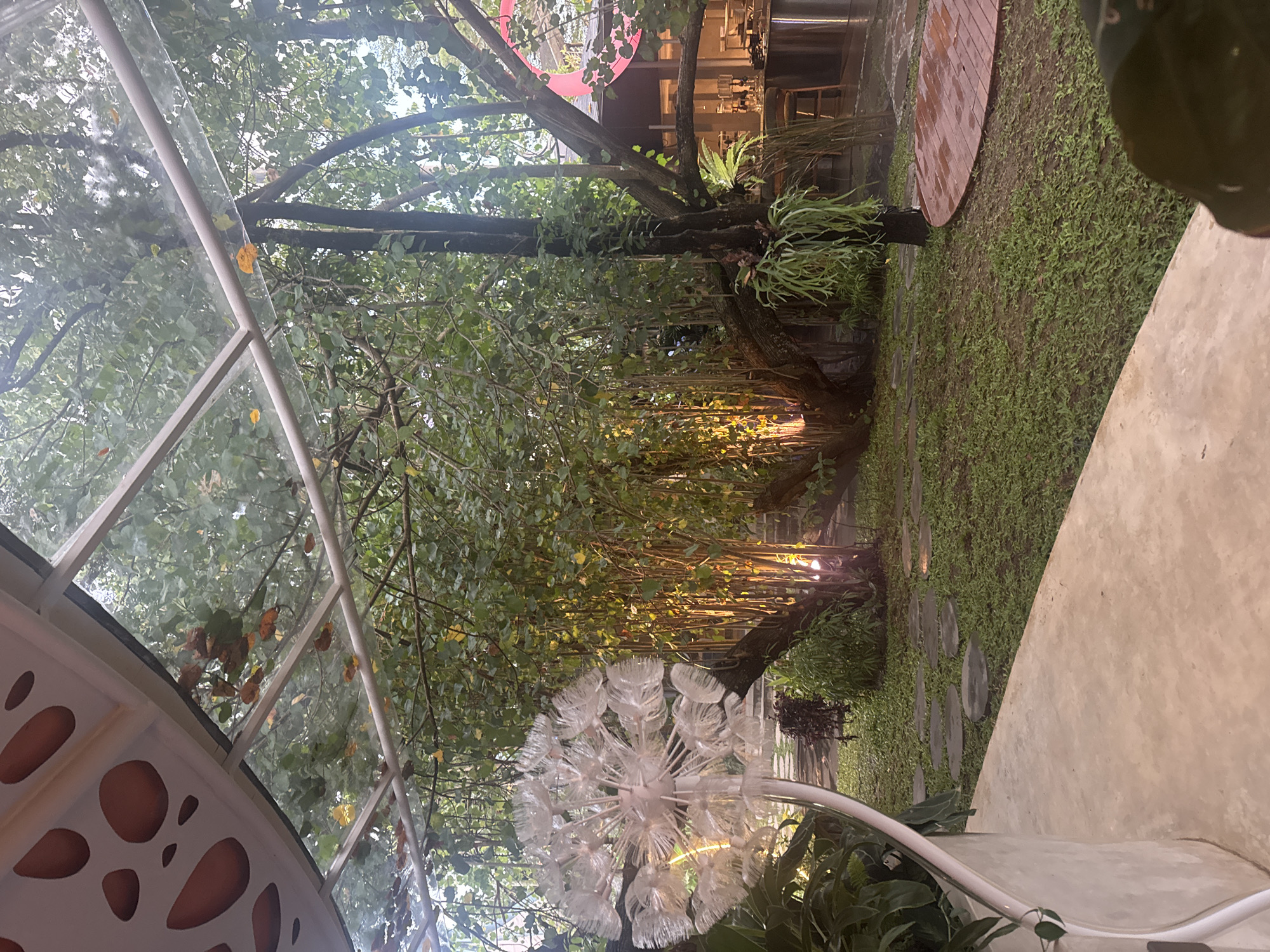 The image shows an outdoor garden setting, possibly a courtyard or restaurant terrace, located in North Kuta, Indonesia. The focal point is a large, dandelion-shaped decorative lamp made of clear plastic, situated in the foreground. The garden is filled with lush greenery, including a large tree with hanging vines that create a canopy overhead. Light shines through the vines, creating a warm glow. A winding stone path leads through the garden. In the background, a building is partially visible, with lights suggesting an interior space. To the left, part of a translucent structure, possibly a pergola or covered seating area, is visible, featuring an abstract pattern. The ground is covered in grass and scattered with round, wooden platforms or stepping stones. The overall atmosphere is tranquil and inviting, with a blend of natural and artificial lighting.