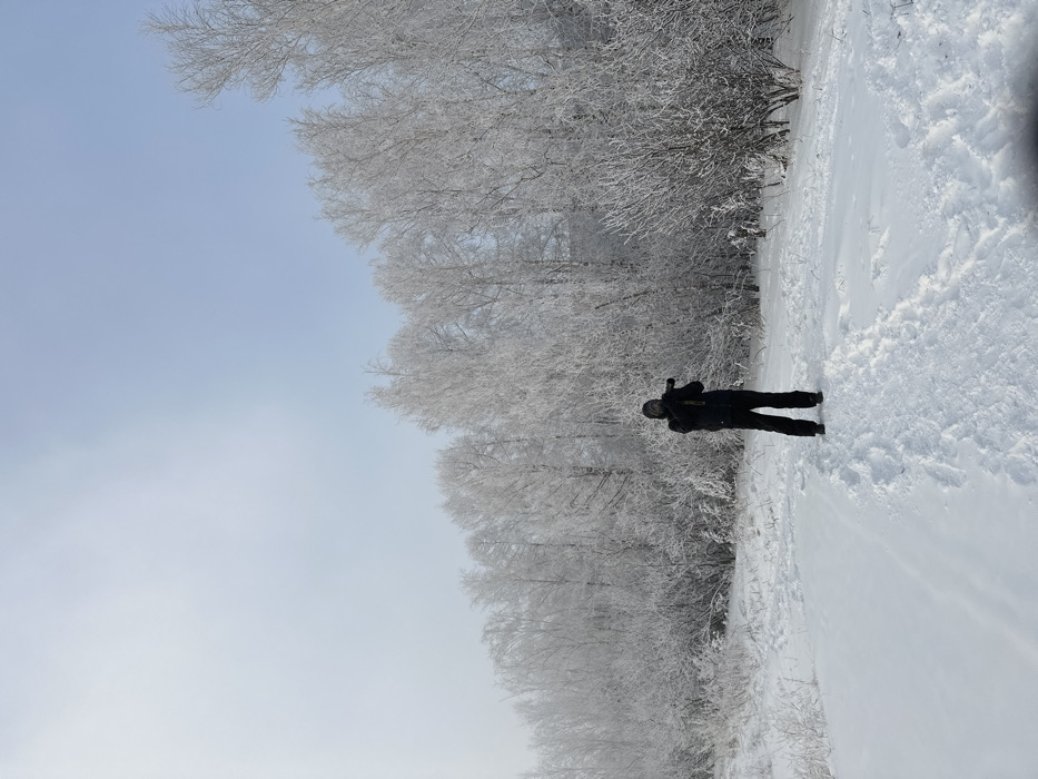 The image depicts a natural, snow-covered, wooded area located within or adjacent to the city of Krasnoyarsk, Russia. The ground is uniformly covered in a thick layer of white snow, with a distinct set of footprints forming a path leading into the foreground. All visible deciduous trees and bushes are heavily encrusted with hoarfrost or rime ice, giving them a stark white appearance. The sky is a pale, hazy blue, indicative of cold, possibly still weather conditions.
A single individual, dressed in dark winter clothing including a heavy jacket, trousers, and a hood or balaclava obscuring the face, stands approximately in the center-left of the frame. The person is holding a dark-colored digital camera, appearing to be a DSLR or mirrorless model equipped with a lens, up to their eye level, focused on the frost-covered landscape ahead. No other individuals or artificial structures are visible in the immediate vicinity, emphasizing the natural winter environment.