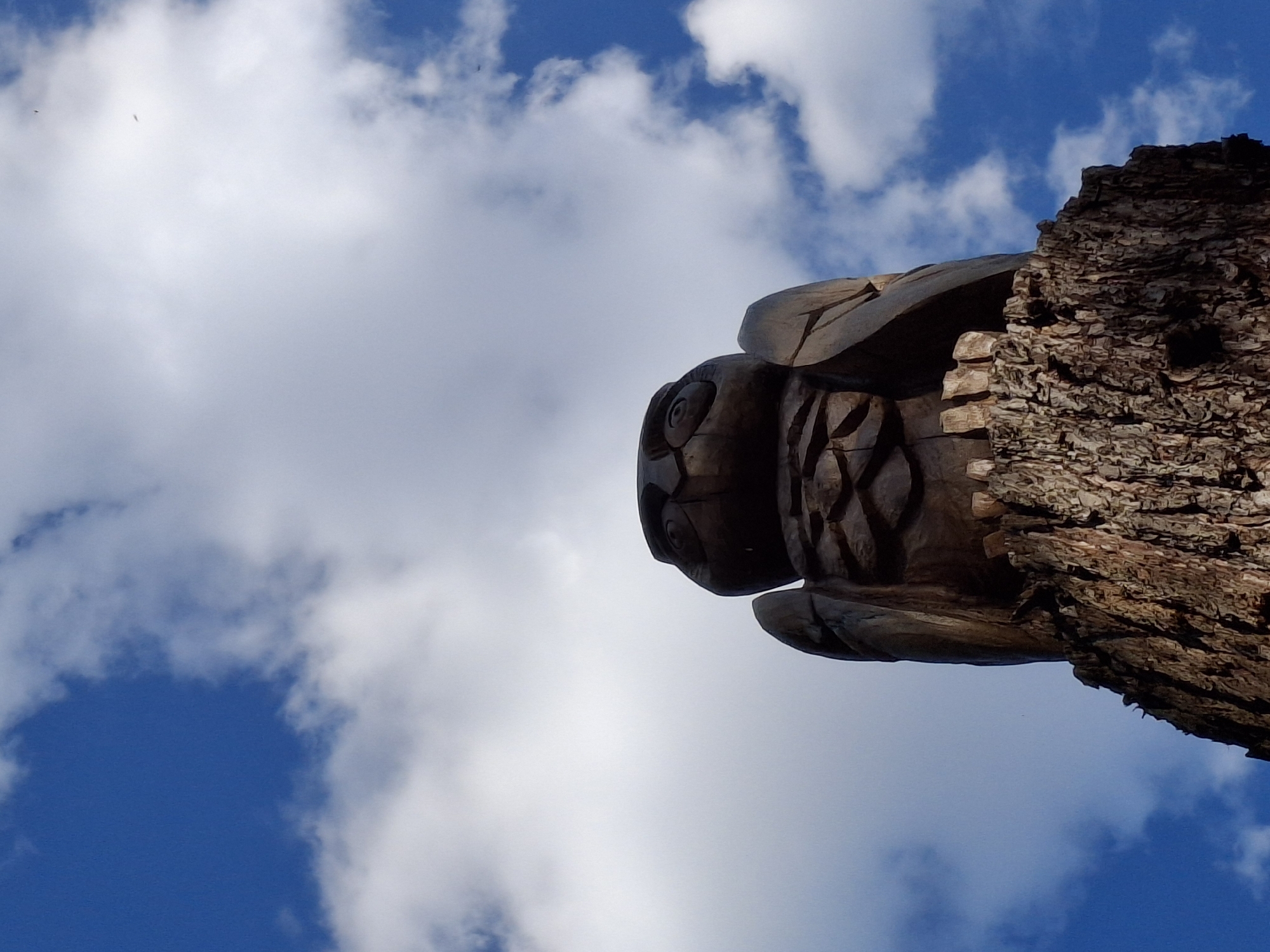 The image shows a carved wooden owl sculpture attached to a tree trunk. The sculpture is positioned on the right side of the frame, with a view of a blue sky with white clouds in the background. The details of the owl carving are visible, including its eyes, feathers, and geometric patterns on its chest. The tree trunk has a rough, textured bark. The location is Unknown, Unknown.