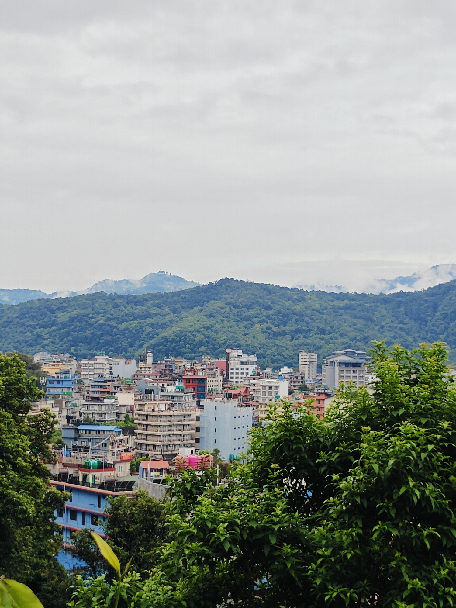 This is a wide shot of the city of Pokhara, Nepal, from an elevated perspective looking towards a mountain range. In the foreground, lush green trees with dense foliage frame the scene, partially obscuring the view of the city. The city itself is a dense collection of multi-story buildings with a mix of architectural styles and colors, including blues, whites, reds, and oranges. Many buildings appear to be residential or commercial, with some showing balconies and visible windows.
In the middle ground, more buildings are visible, with varying heights and designs. Some taller, more modern structures stand out amongst the older ones. The city sprawls across a hillside, with buildings appearing to ascend the slopes.
The background features a prominent, tree-covered mountain range. The mountains are a deep green, indicating dense forestation. The sky above is overcast with a layer of soft, diffused clouds, creating a muted light over the entire scene. Some parts of the mountain range are partially obscured by mist or low-lying clouds, adding a sense of depth and atmosphere. The overall impression is of a city nestled within a vibrant natural landscape, under a cloudy sky. There are no people or active subjects clearly visible in the image.
