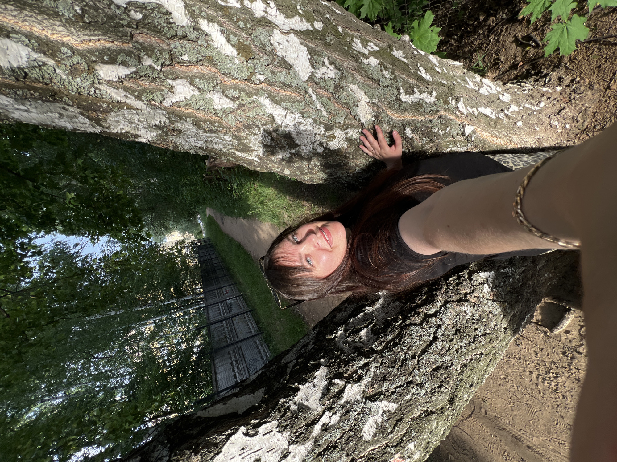 The image is a wide-angle, selfie-style photograph taken outdoors. A woman with long brown hair, wearing a black t-shirt and sunglasses on her head, is positioned between two large birch trees. She is smiling and looking towards the camera, with her left arm extended, holding the camera. Her right hand is resting on the bark of the tree to her right. The background shows a dirt path leading into a wooded area, with a grey metal fence lining the left side of the path. Sunlight filters through the leaves of the trees, creating dappled light. The location appears to be Noviy, Russia, judging by the context provided. The overall impression is a casual snapshot taken during a walk in a park or wooded area.