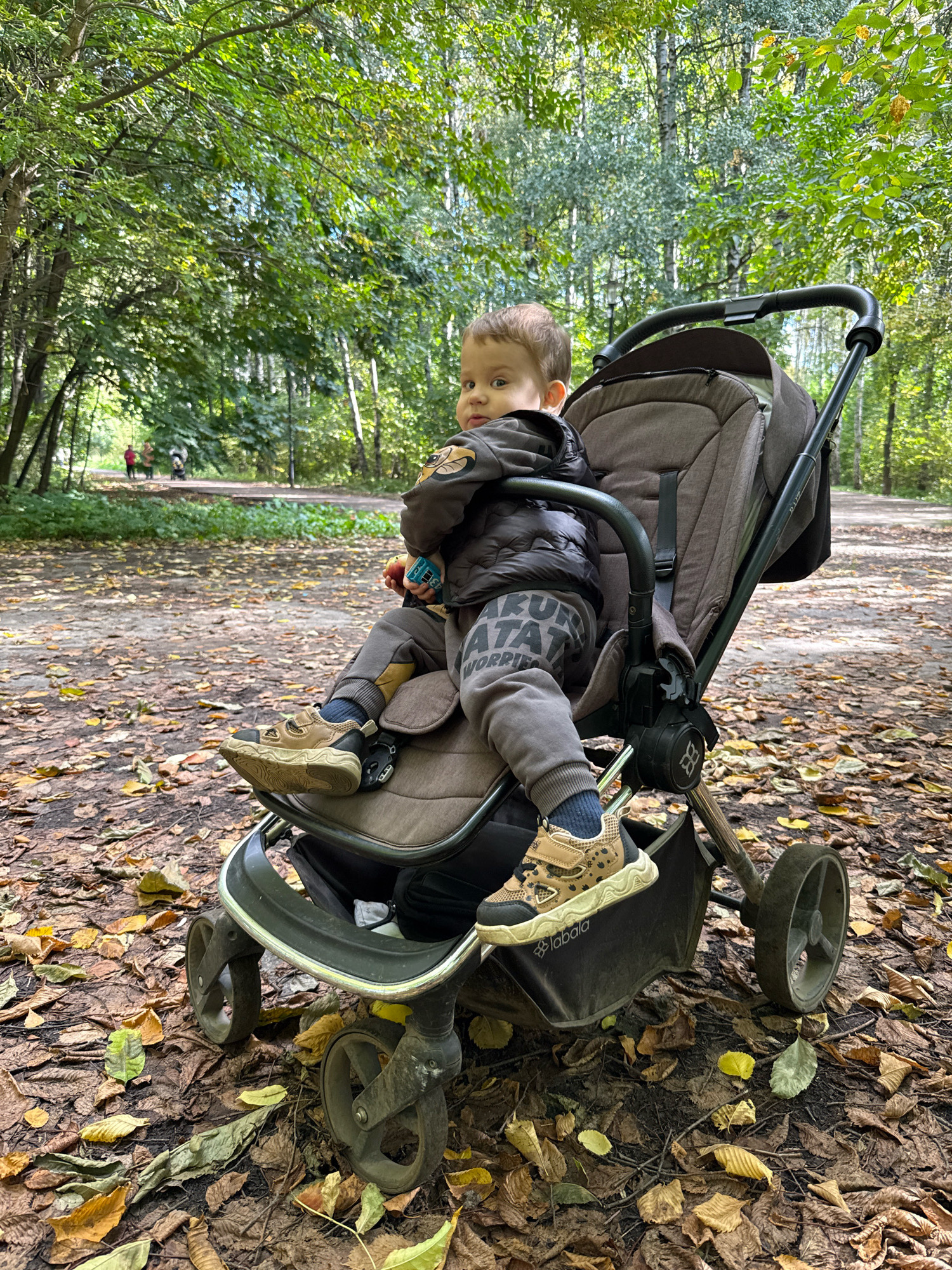In the city of Rusanovo, Russia, a toddler sits in a brown stroller on a path covered in fallen autumn leaves. The child is wearing a dark jacket, grey pants with text, and tan sneakers. The stroller is positioned on a dirt path surrounded by trees with green and yellowing leaves. In the background, a few other people are visible walking on the path. The scene appears to be a park or wooded area during the fall season.
