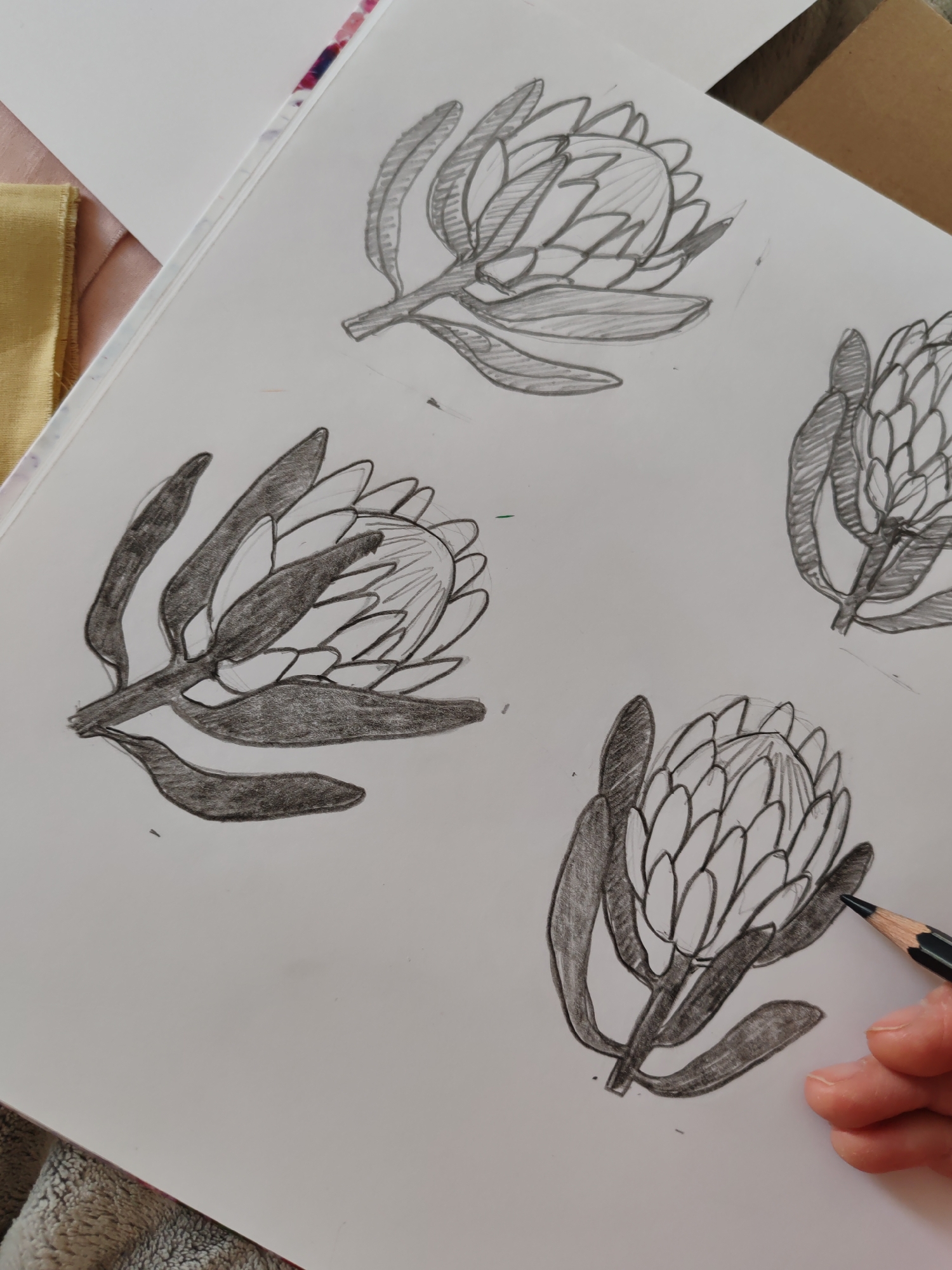 A sketchbook lies open, filled with pencil sketches of protea flowers. Four sketches are visible, each in a slightly different style or stage of completion. A hand holding a pencil hovers near the bottom right protea sketch. The background includes a peach-colored fabric, yellow fabric, a piece of white paper, and a piece of cardboard. The scene does not take place in Ust-Ilimsk, Russia.