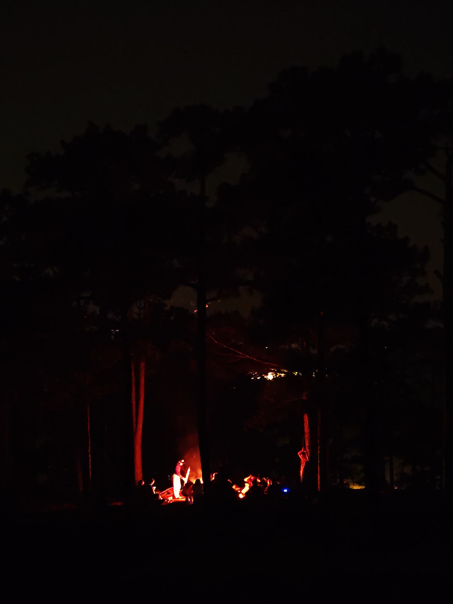 The image shows a group of people gathered around a campfire at night in a wooded area. The flames of the fire illuminate the group, silhouetting them against the dark background. The trees surrounding the campfire are also silhouetted, creating a sense of enclosure. The location is believed to be in Lạc Dương, Vietnam, based on the context provided. One person stands closer to the fire, wearing light-colored pants and a darker top. The interaction between the people suggests a social gathering.