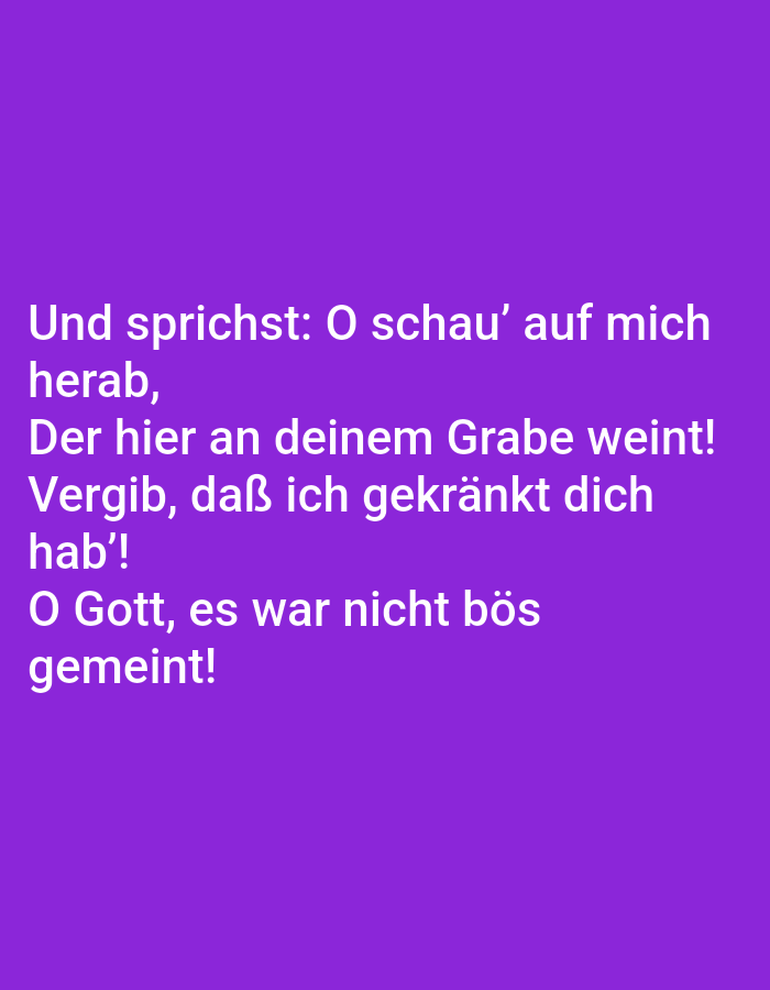 The image is a close-up, medium shot of white text on a purple background. The text, written in a sans-serif font, appears to be a poem or song lyrics. The text reads: "Und sprichst: O schau' auf mich herab, Der hier an deinem Grabe weint! Vergib, daß ich gekränkt dich hab'! O Gott, es war nicht bös' gemeint!" There is no visible indication of the city of Tallinn, Estonia, or any other specific location.