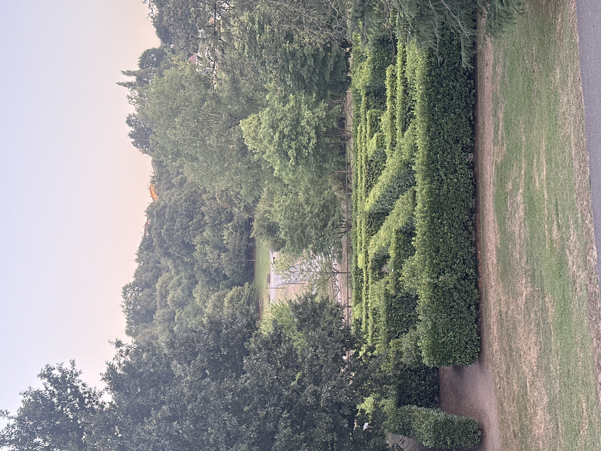 The image shows a view of a hedge maze in a park setting with trees and a pale sky. The maze is composed of neatly trimmed green hedges forming winding paths. A dirt path leads into the maze from the left. Beyond the maze, there is a grassy area with some scattered trees and further in the background, a wooded hillside dotted with buildings and more trees. The sky is a soft gradient of pale blue and pink, suggesting it might be dawn or dusk. The overall impression is of a serene, natural environment within a park. This location is in the Monte De Naranco in Oviedo, Spain.