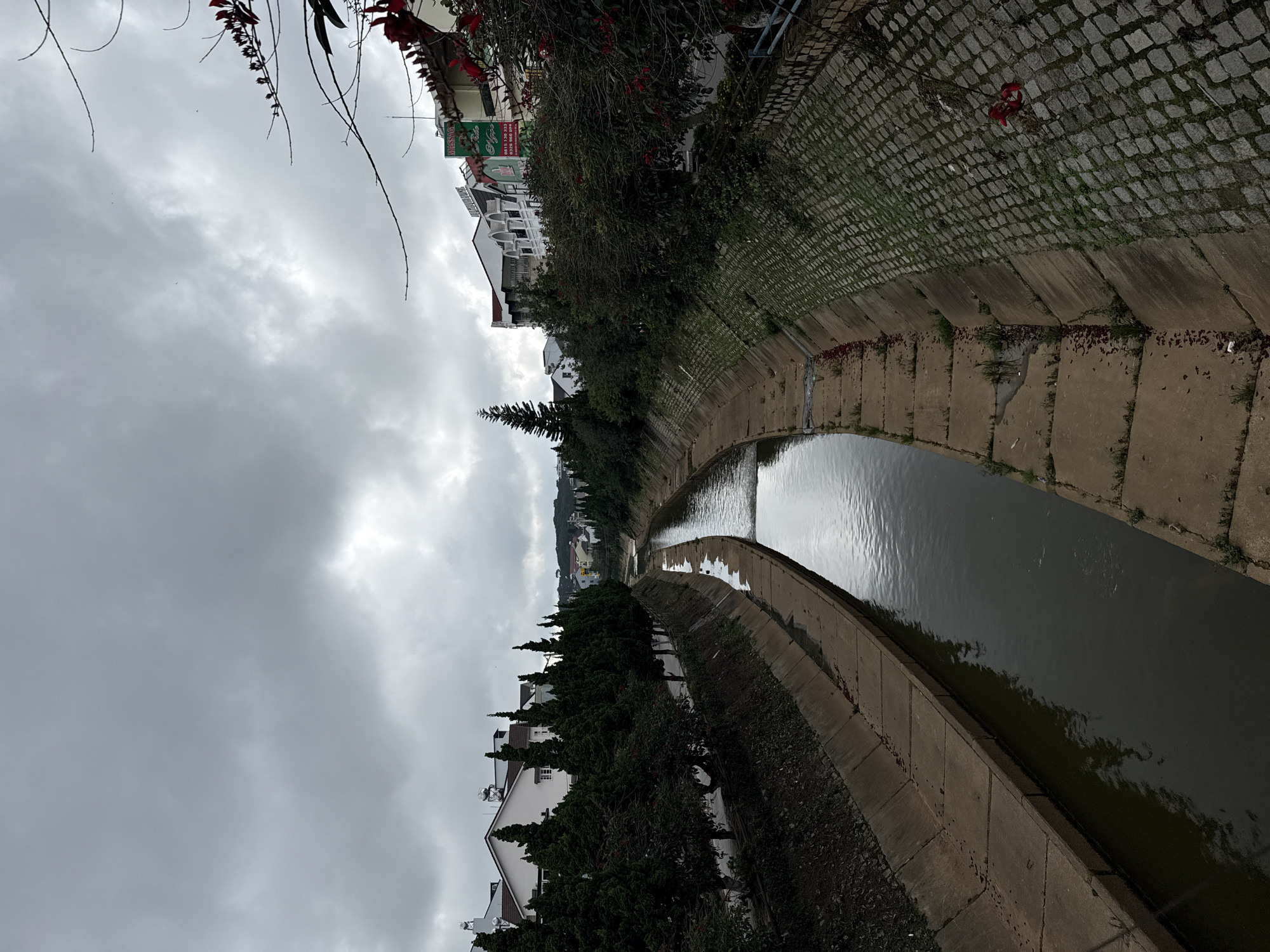 The image depicts a concrete-lined canal or stream winding through an urban landscape under an overcast sky. The waterway, with its relatively still, dark water, recedes into the distance, reflecting the muted grey of the clouds above.
On the left side of the canal (viewer's left), there is a wide, elevated bank, part of which is paved with cobblestones and features some patches of green grass. Further beyond this bank, a row of white, multi-story buildings with dark roofs and some satellite dishes are visible. One prominent green sign on a building clearly displays "MASSAGE" in white text, along with a phone number "0815 138 333". Another sign, partially visible, appears to read "NHÀ TRỌ" (Inn/Guesthouse). Overhanging from the top of the frame, reddish foliage, possibly from flowering vines or bushes, adds a touch of color.
On the right side of the canal, the bank is lined with a strip of dark soil and a dense row of tall, slender coniferous trees. Beyond these trees, more white buildings with dark roofs are interspersed among the rising terrain. In the background, faint outlines of hills or mountains are visible beneath the heavy cloud cover.
The weather is overcast, with a uniformly grey and cloudy sky, indicating a subdued daytime atmosphere. Small red petals or leaves are scattered across the cobblestone path and along the concrete edges of the canal, suggesting fallen foliage. The scene is devoid of people or specific activities, portraying a quiet moment in what is identified as Da Lat, Vietnam.