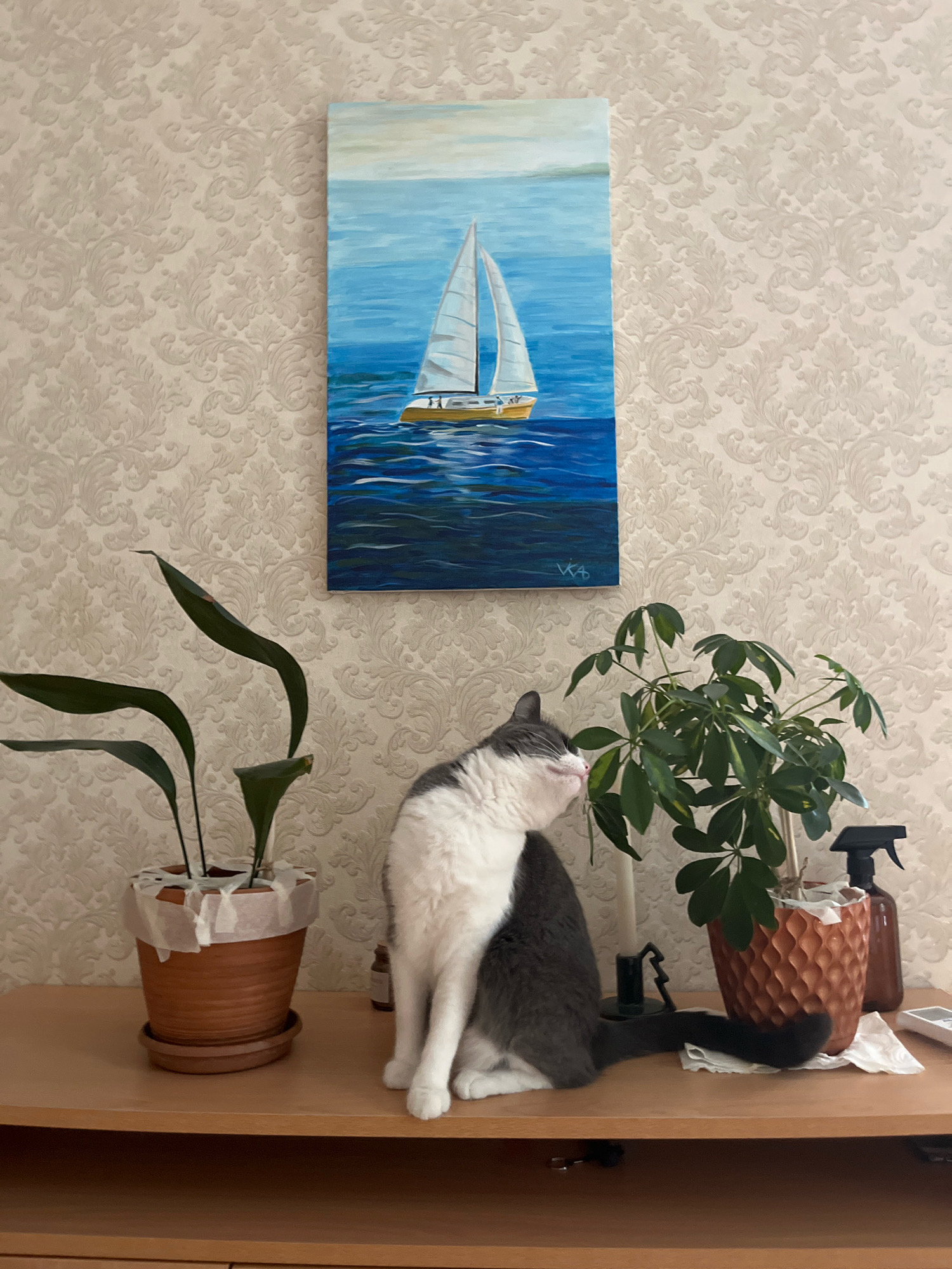 A framed painting of a sailboat on a blue sea hangs on a beige, patterned wallpapered wall. Below the painting, on a wooden shelf, sits a grey and white cat with its head turned and partially obscured as it licks the leaves of a potted plant. To the left of the cat is another potted plant with long, dark green leaves. To the right of the cat is a second potted plant with smaller, brighter green leaves, a dark spray bottle, and a white tissue. The scene appears to be indoors, in a domestic setting, with no indication of the city of Tbilisi, Georgia.