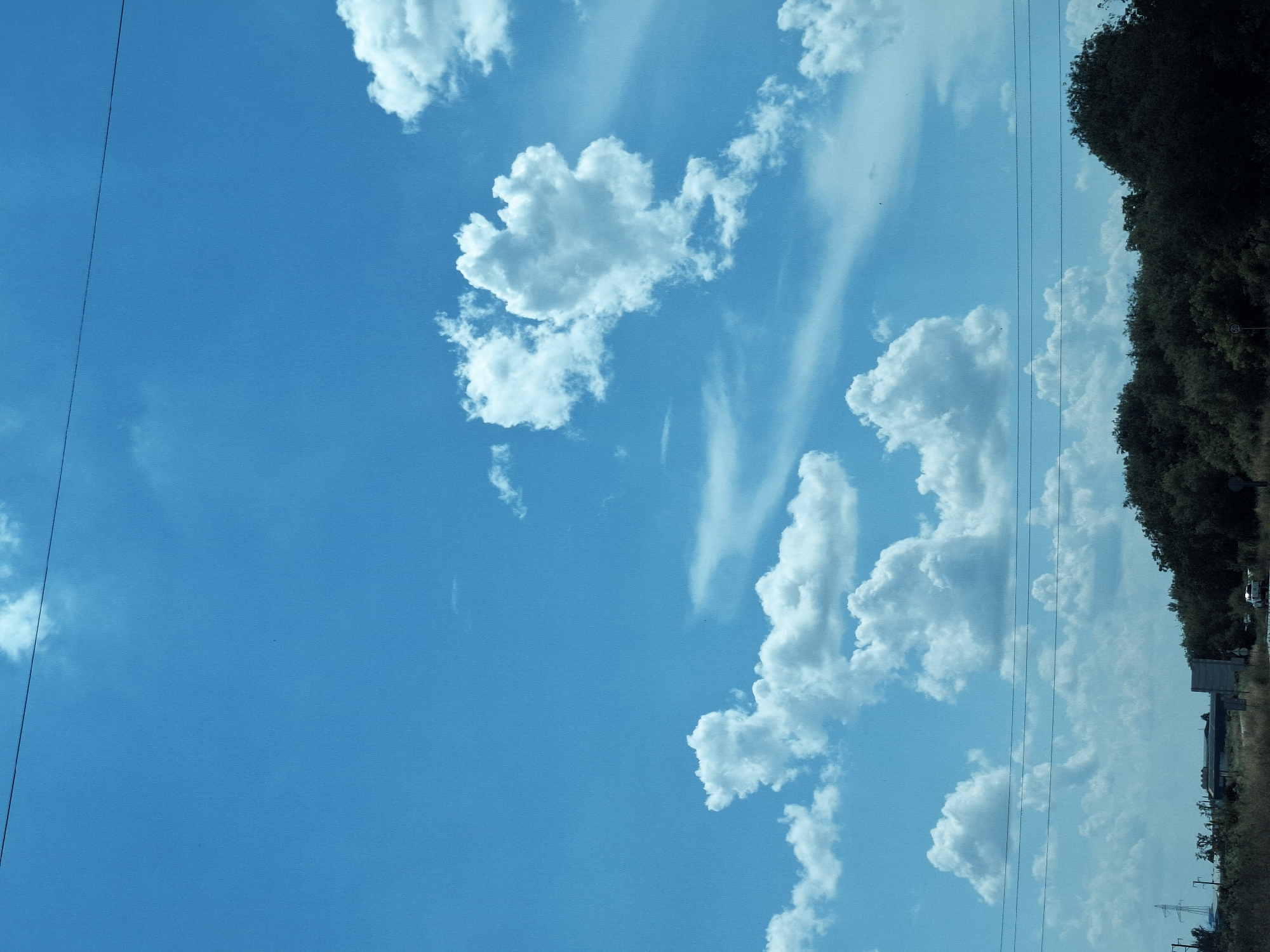 This image depicts a bright daytime outdoor scene in Yambol, Bulgaria. The upper two-thirds of the frame are dominated by a clear, bright blue sky containing scattered white cumulus clouds of various sizes and forms. Several thin, dark utility lines traverse horizontally across the mid-section of the sky, creating linear interruptions. The lower third of the image features a landscape comprising both natural and industrial elements. On the right, dense, dark green foliage, primarily consisting of trees and bushes, occupies the foreground. On the left, industrial infrastructure is present, including a prominent metallic lattice power pylon, multiple smaller utility poles, and a large, grey rectangular concrete structure, possibly part of a bridge or building. A road surface is visible at the very bottom, with a small, light-colored vehicle in the distance. A circular road sign displaying the number "50" is partially observable in the lower right quadrant, indicating a speed restriction. No individuals or specific actions are discernible within the frame. The scene is uniformly illuminated under direct daylight conditions.
