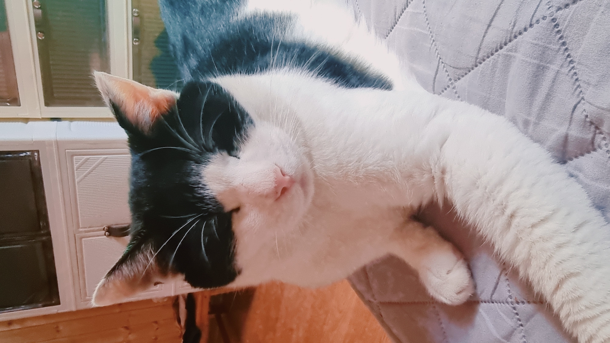 A black and white cat is sleeping on a light-colored, textured surface that appears to be a bed or cushion. The cat's head rests near a white cabinet with a small drawer, sitting on a wooden floor. The location is likely Dunnae-myeon, South Korea.