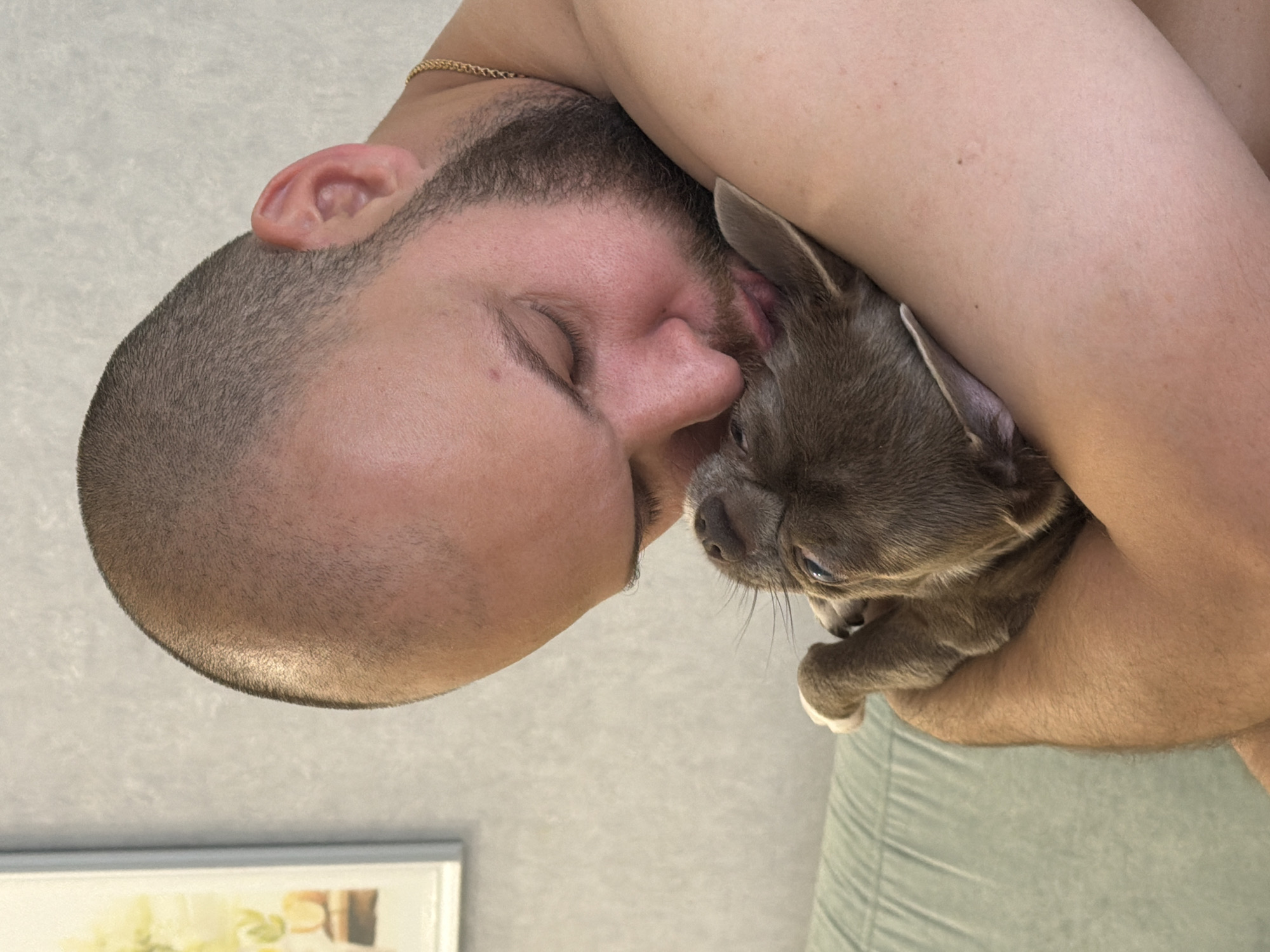 The image shows a close-up, slightly angled view of a man holding a small, grey puppy. The man, with a shaved head and a beard, is nuzzling the puppy, his eyes closed. The puppy, a Chihuahua breed, is nestled in the crook of his arm, its eyes open and looking slightly upwards. The man is wearing a thin gold chain around his neck. The background appears to be indoors, with a textured, light-colored wall. A framed picture is partially visible in the lower left corner. The lighting suggests it could be daytime, with a neutral, diffused light source. The scene evokes a sense of tenderness and affection between the man and the puppy.