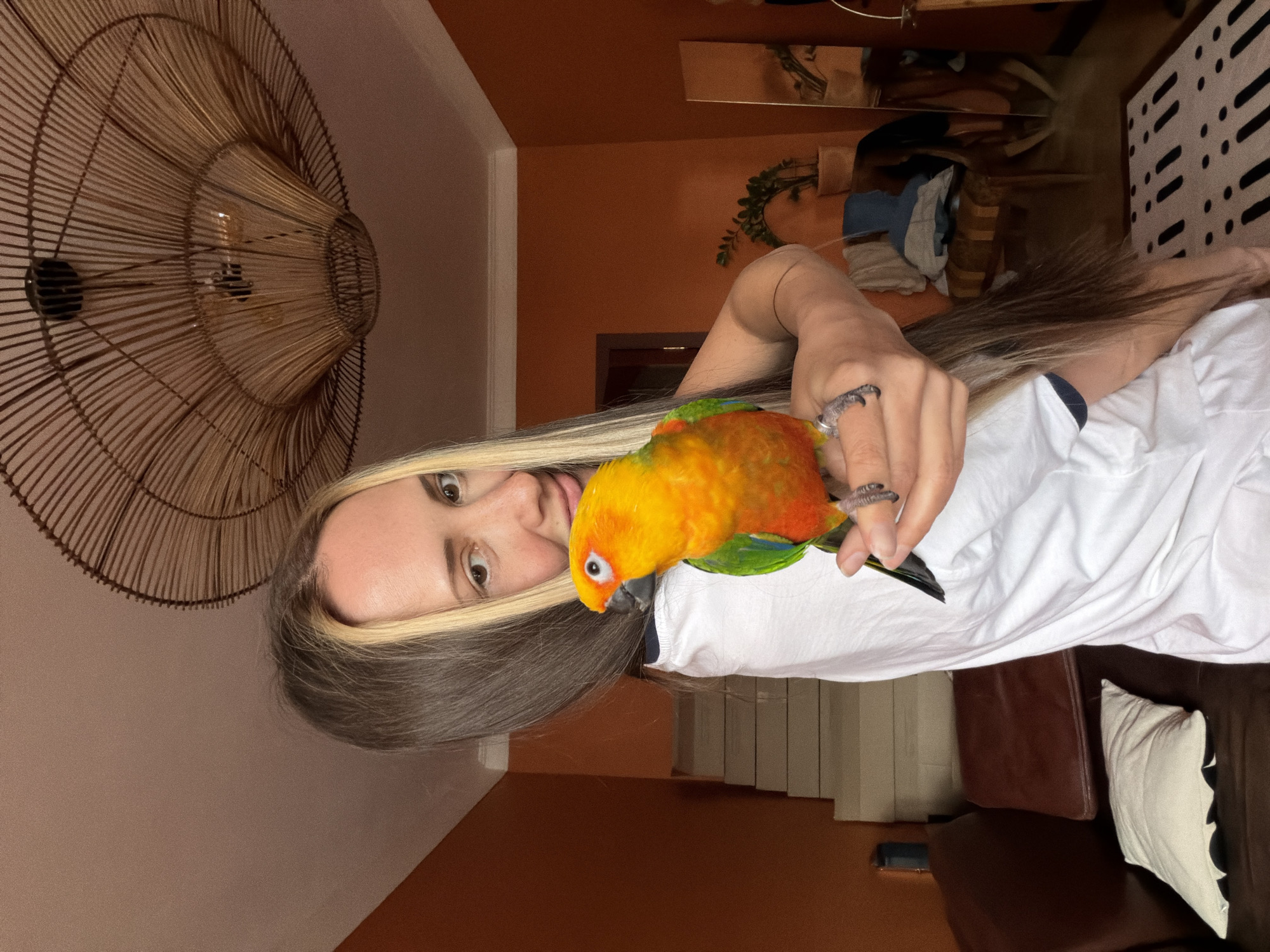 A young woman with long, dark hair featuring blonde highlights is pictured indoors, holding a vibrant parrot on her left hand. The image is oriented sideways, with the woman looking directly at the camera with a calm expression. She is wearing a white short-sleeved t-shirt with a dark collar trim, and a unique ring resembling a bird's claw is visible on her finger.
The parrot, likely a Sun Conure, exhibits striking plumage with bright yellow and orange feathers on its head and chest, transitioning to green on its wings and back, and some blue visible. It is perched calmly on the woman's hand.
The setting appears to be a cozy indoor space, possibly a living room or den, with warm-toned, possibly terracotta-colored walls. In the background, a brown leather sofa with a cream-colored pillow featuring a black pattern is visible. Above, a large, intricately woven, basket-like ceiling light fixture with exposed bulbs hangs. Other background elements include a wooden shelf or cabinet, and some indistinct items, including what looks like a plant or decorative greenery. The overall ambiance suggests a comfortable, homely environment. No text is visible in the image. The location context provided is Khimki, Russia.