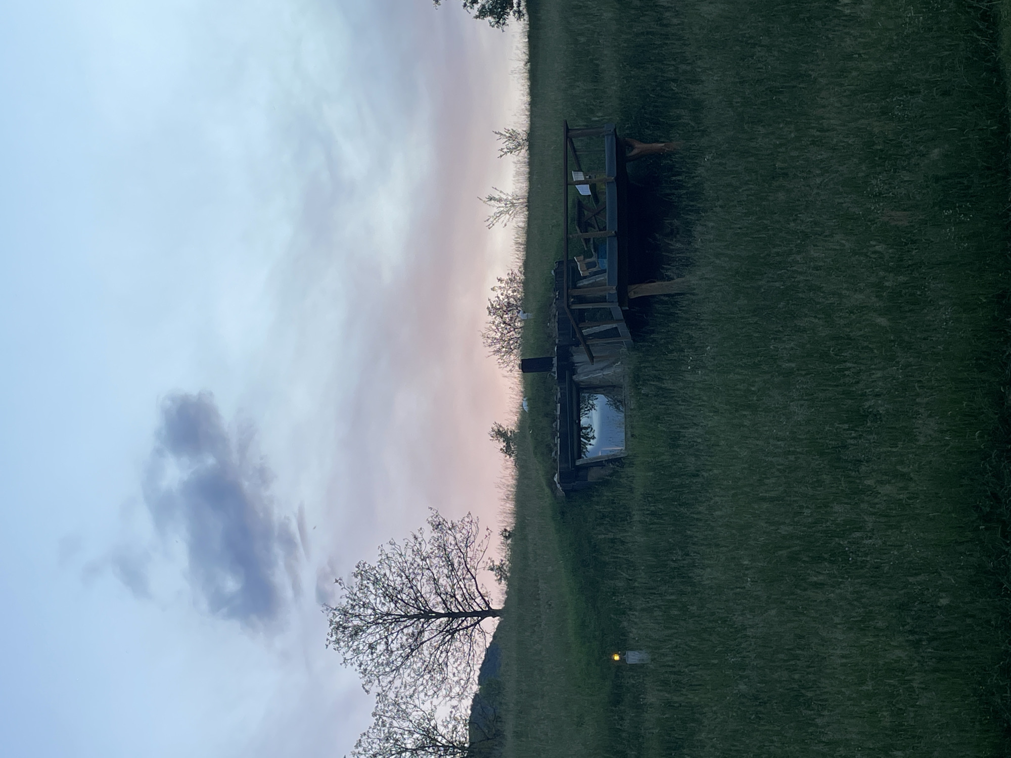 The image shows a grassy landscape with a structure in the center. The structure appears to be a partially dismantled building with exposed beams and a visible window. The sky is light blue and pink with a cloud formation on the left. A tree with bare branches is near the bottom left of the frame. There is a faint light or object in the grass. The image's location in the city of Polja, Montenegro is not determinable from the visual evidence.