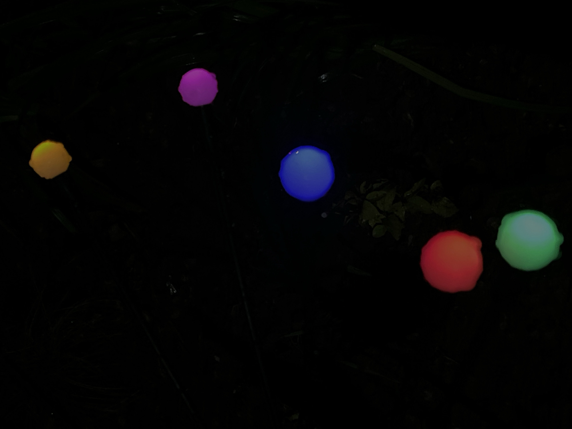 The image shows five glowing, spherical objects of different colors (yellow, purple, blue, orange-red, and green) scattered on a dark surface, possibly the ground. The setting appears to be outdoors at night. There are suggestions of vegetation (leaves and grass) sparsely distributed. The location is likely Novopokrovskaya, Russia, but there are no visual cues to confirm this location. No people or specific actions are depicted.
