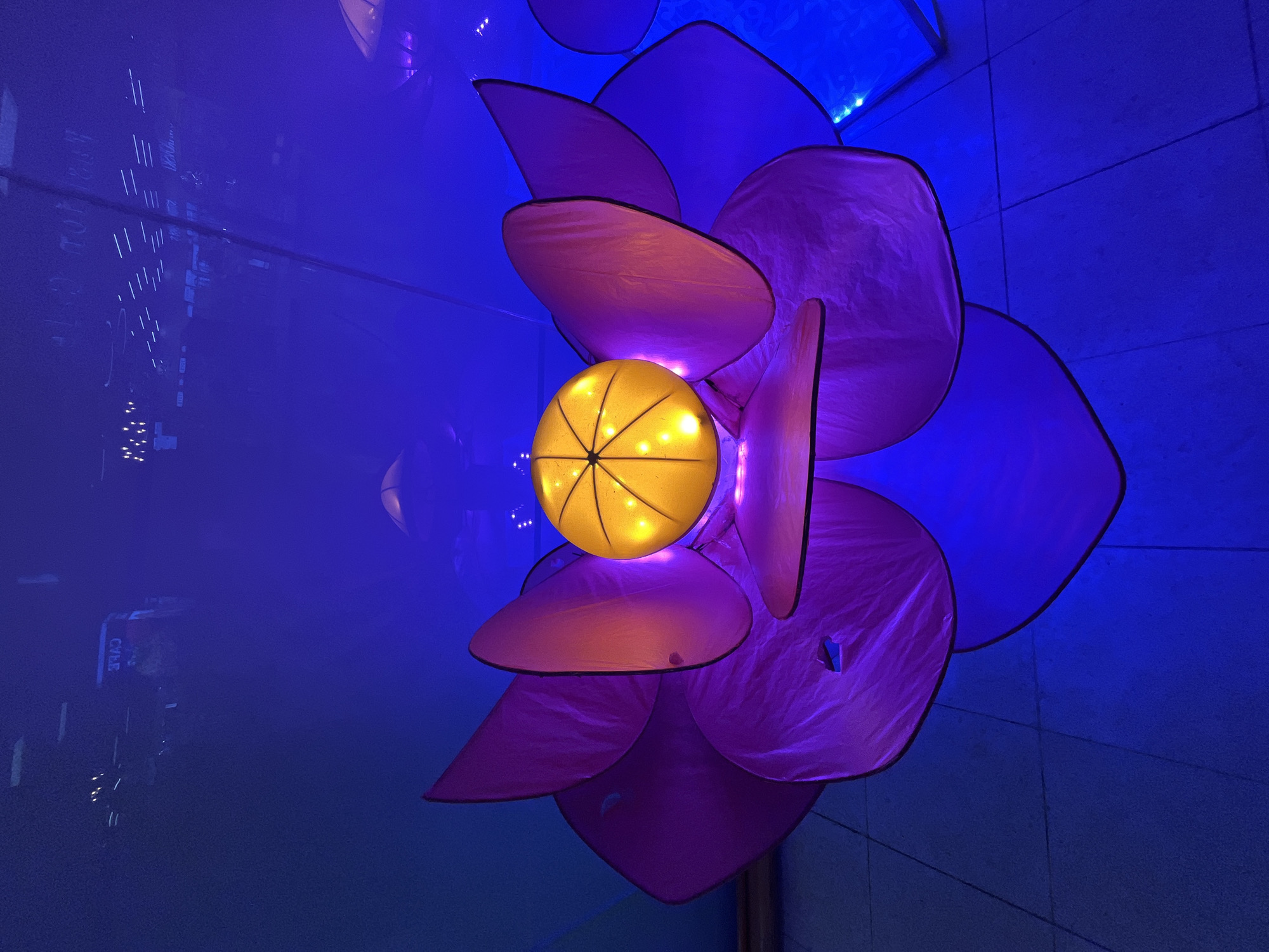 The image shows a large, illuminated lotus flower decoration. The petals of the flower are purple and lit with purple and orange light, with the center being a glowing yellow sphere. The decoration is placed on a tiled floor, and the surrounding environment is bathed in blue light. In the background, there are reflections on a dark, glassy surface that show lights and signs, one of which appears to read "CAFE" in reverse. This scene is located in Katunayake, Sri Lanka.