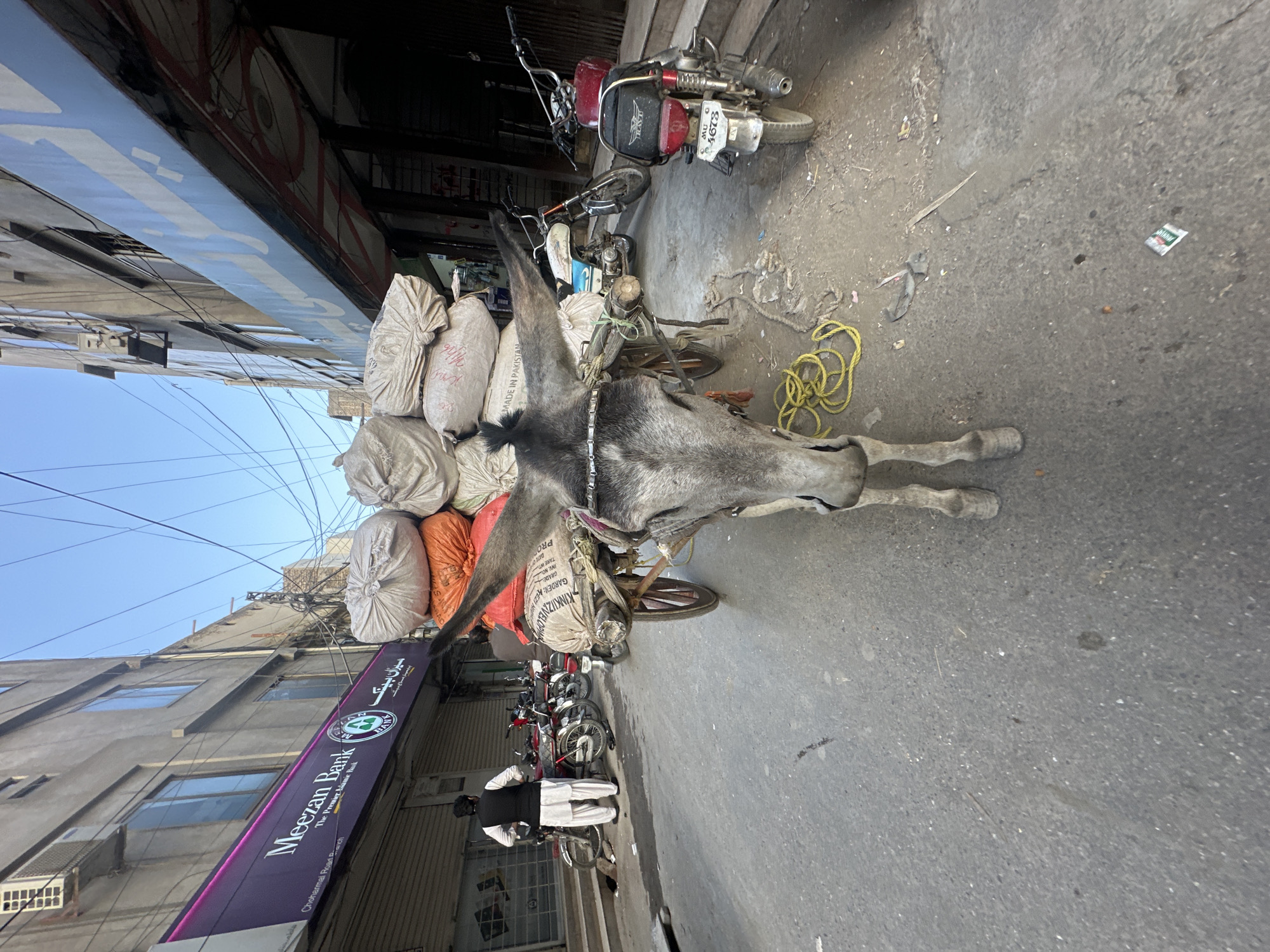 Here's a matter-of-fact description of the scene:
The image captures a street scene in Quetta City Tehsil, Pakistan. A donkey, heavily laden with sacks, stands in the middle of the road. A man dressed in a black and white shalwar kameez stands near the donkey. Several motorcycles are parked along the side of the road. A sign for Meezan Bank is visible on a building. Other buildings are visible on the left side of the image. Overhead, a tangle of power lines spans the street. The road surface is worn and dusty. A yellow rope is on the ground near a motorcycle.