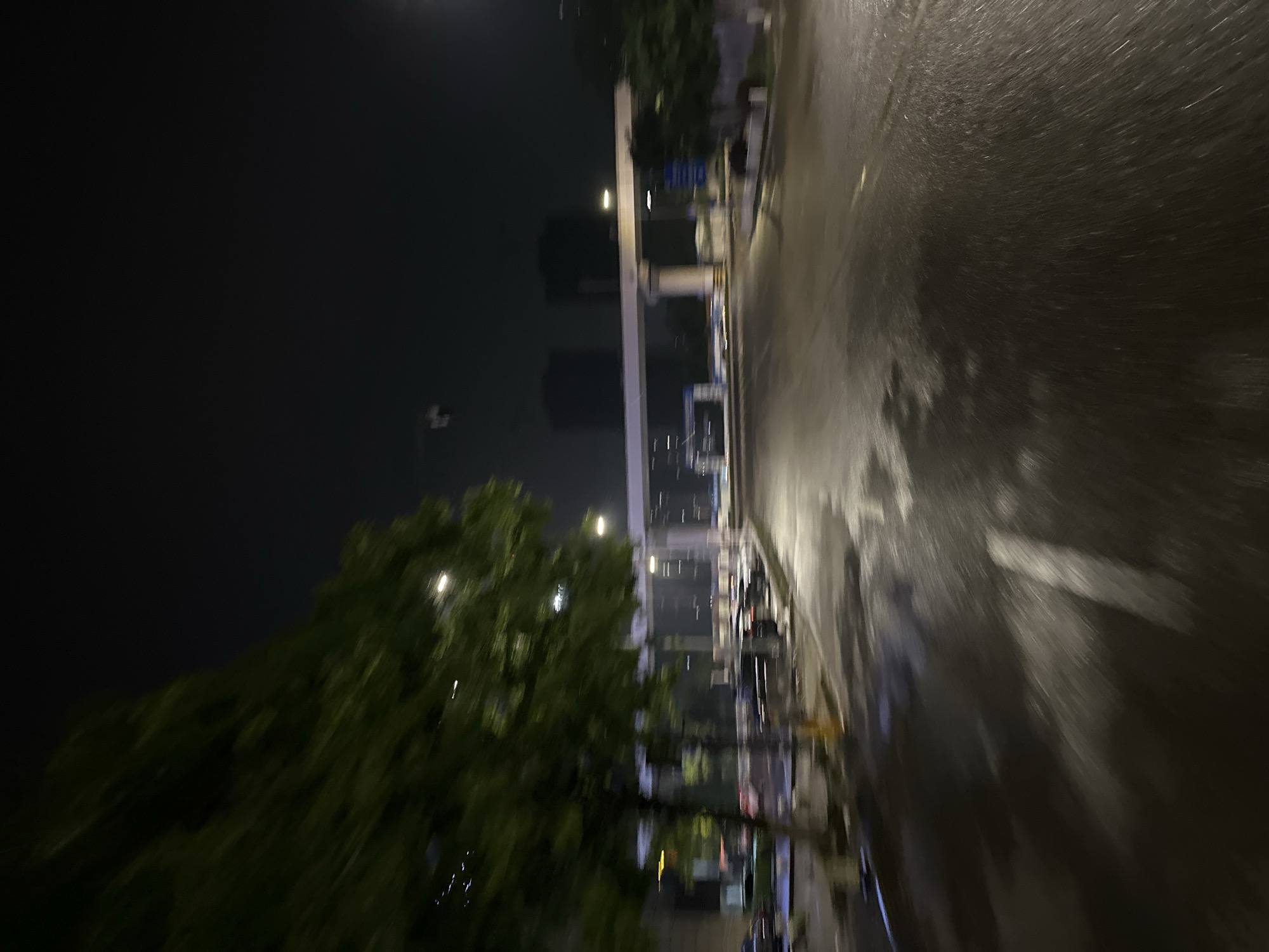 This image depicts a wet, dark urban road at night, captured with significant motion blur, suggesting the perspective of a moving vehicle within the Chongqing High-tech Zone, China. The foreground is dominated by a dark asphalt road reflecting artificial light, indicating recent rain or standing water, with a faded white road marking partially visible in the lower right.
To the left, a large, heavily motion-blurred tree with green foliage is prominent, extending from the mid-ground upwards. Multiple indistinct vehicles are parked along the left side of the road, blurred by motion. Several bright streetlights are visible, casting light on the scene and creating reflections on the wet surface.
In the mid-ground, a prominent white elevated structure, possibly an overpass or a part of a large entrance gate, spans horizontally across the frame, supported by multiple white pillars. Below this structure, elements consistent with a road entrance or checkpoint are visible, including what appear to be blue and white barriers or signs, though rendered indistinct by blur. Two dark, indistinct building silhouettes rise in the far background against the dark night sky. A small, unidentifiable, blurry white object is visible in the upper center sky. No discernible human figures are present.