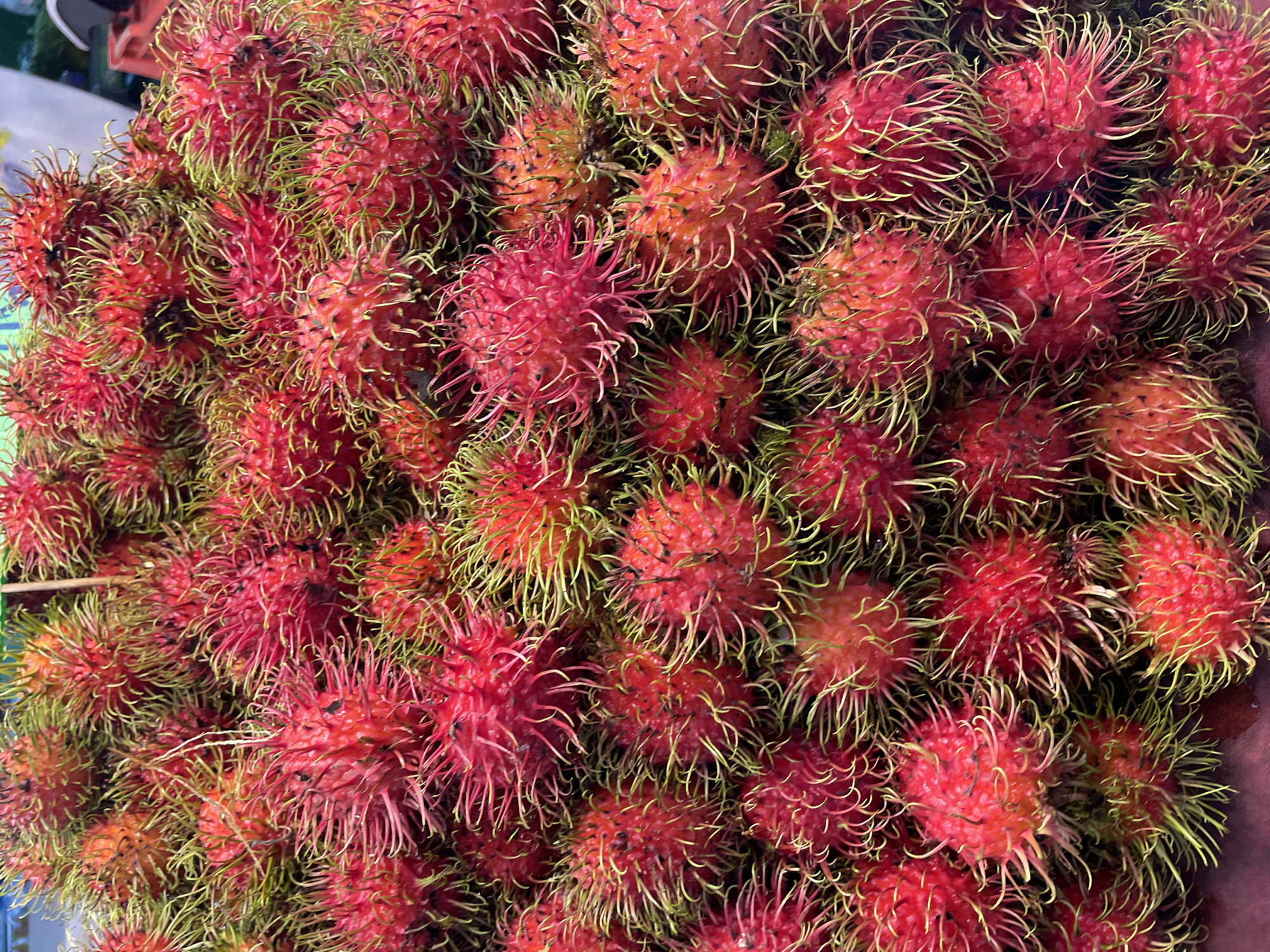 A close-up, overhead shot displays a large pile of ripe rambutan fruit, their spiky, reddish-pink skin speckled with green. The fruit are densely packed, obscuring any background details. The image appears to have been taken at a market in Nong Prue, Thailand.
