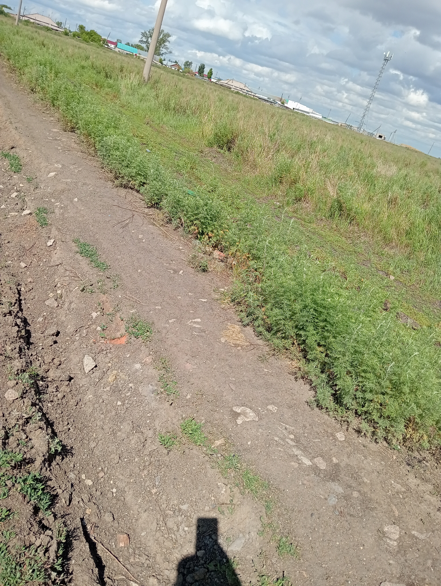The image depicts a dirt road in a rural area. The road is covered with loose soil and small stones, with sparse green vegetation growing along its edges. Beyond the road, there is a field of tall, dry grass, with scattered patches of green bushes. In the distance, several buildings, possibly houses, are visible, along with a tall cell tower on the right side of the frame. The sky is partly cloudy with a mix of gray and white clouds. The overall scene suggests an undeveloped or semi-developed rural landscape under a cloudy sky.