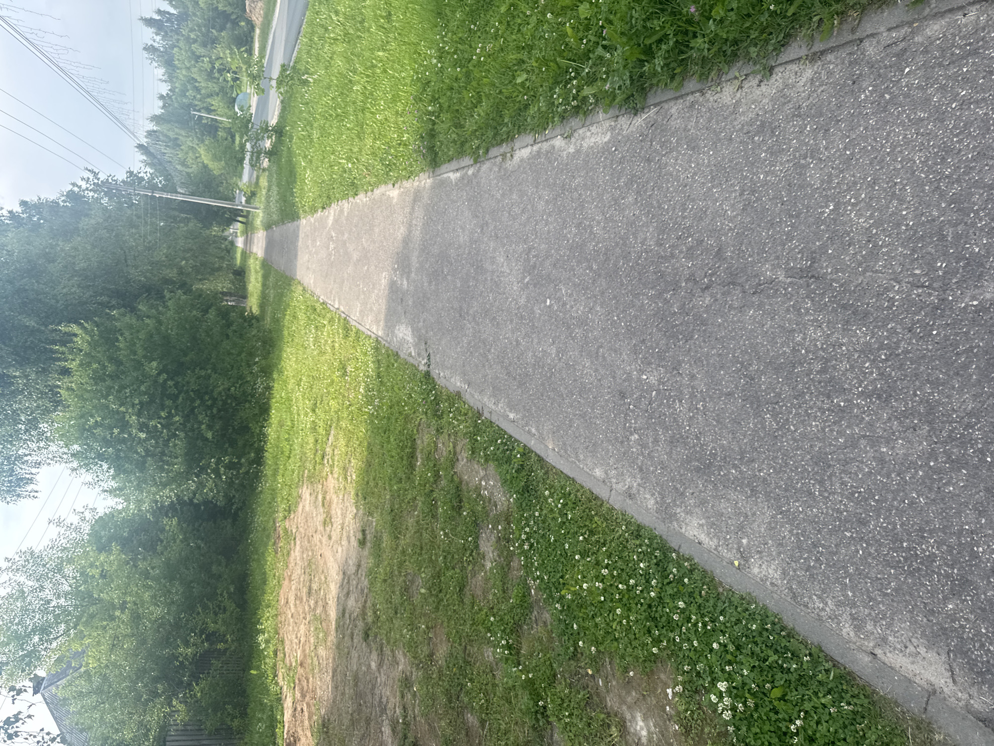 The image depicts a paved pedestrian walkway running alongside a grassy area with scattered white clover flowers. To the left of the walkway, there is a patch of dirt and then a wooden fence, with lush green trees and bushes beyond it. Further to the left, a house with a grey roof is visible. To the right of the walkway, more green grass stretches out, and beyond that is a road with passing cars and utility poles with overhead wires. The scene is set on a sunny day, with the sky visible overhead, suggesting an outdoor, possibly suburban or rural, environment within the city of Krasnye Baki, Russia.