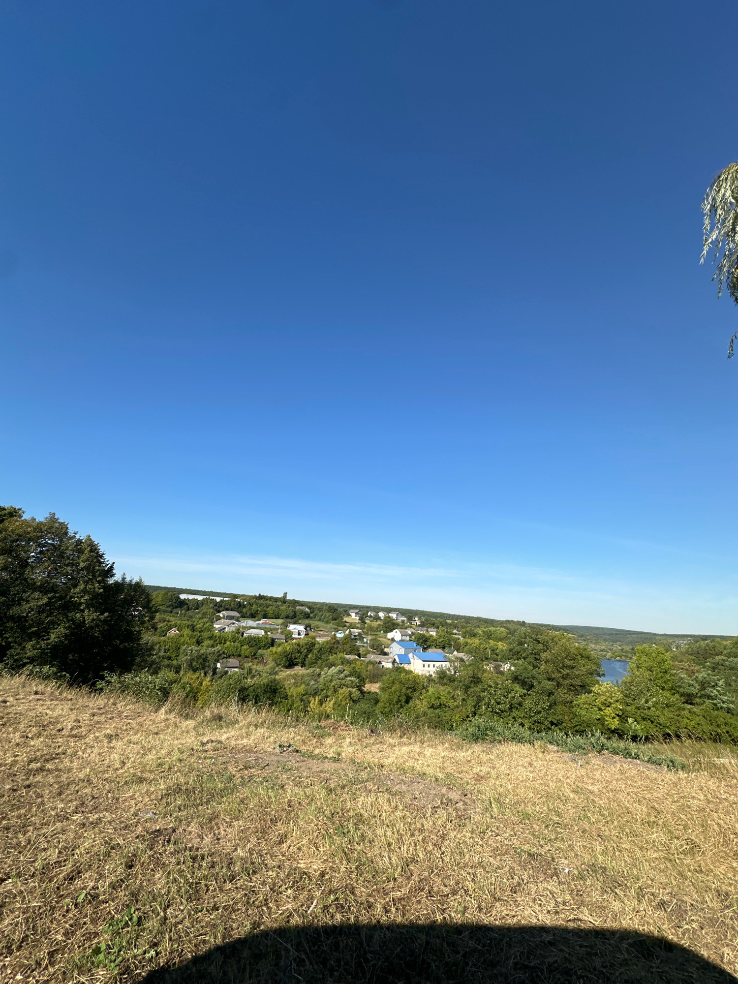 This is a landscape photograph taken on a clear day, likely in the city of Makiv, Ukraine, looking down a grassy slope towards a village nestled among trees. The foreground is dominated by a dry, golden-brown grassy hill. In the mid-ground, a scattering of houses with white walls and blue roofs are visible, surrounded by lush green trees and foliage. A body of water, likely a river or lake, is visible to the right of the village. The sky is a vibrant, cloudless blue, taking up the upper half of the frame. A large tree with dark green leaves stands on the left side of the image, and a small branch with light green leaves hangs from the top right corner. The overall scene depicts a rural, tranquil setting under a bright sky.
