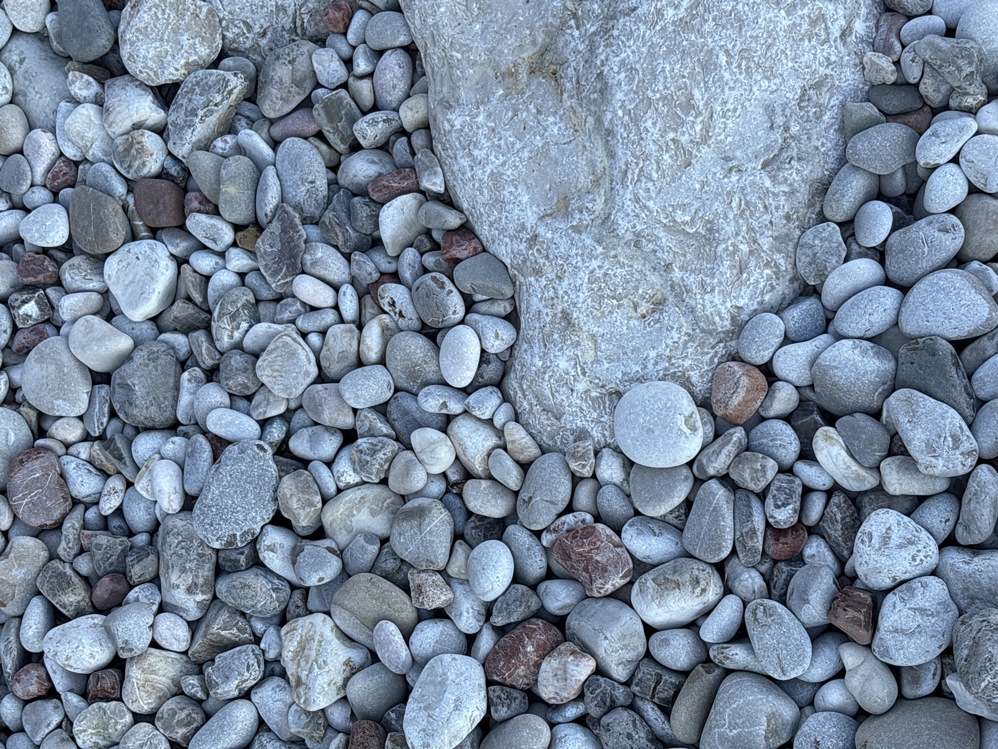 A close-up, overhead shot displays a dense collection of smooth, rounded river stones. The stones vary in size and color, predominantly featuring shades of gray, white, and a few interspersed reddish-brown stones. The textures are varied, with some stones appearing polished and others having a more matte finish. A large, light-colored rock with a rough, textured surface occupies the right side of the image, its edge demarcating a transition from the smaller stones. The scene is an outdoor environment, likely a riverbed or shoreline, in Mirište, Montenegro. There are no people or discernible actions taking place.
