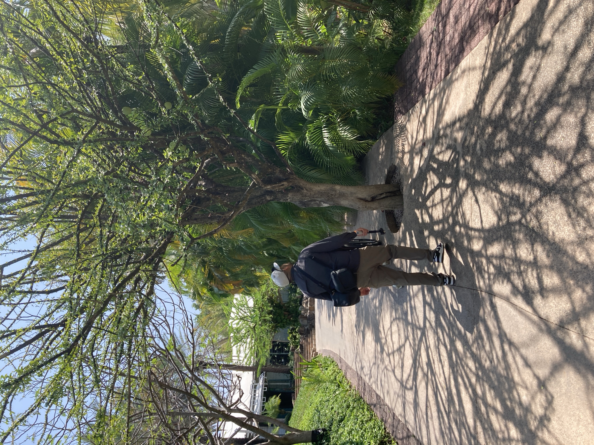 An image shows a person walking on a sidewalk in Tehuixtla, Mexico. The person is wearing khaki pants, a black jacket, and black and white sneakers. They have a white hat on and are carrying a camera or other device. The sidewalk is shaded by trees, and there are lush green plants on either side. There appears to be a building or structure in the background.