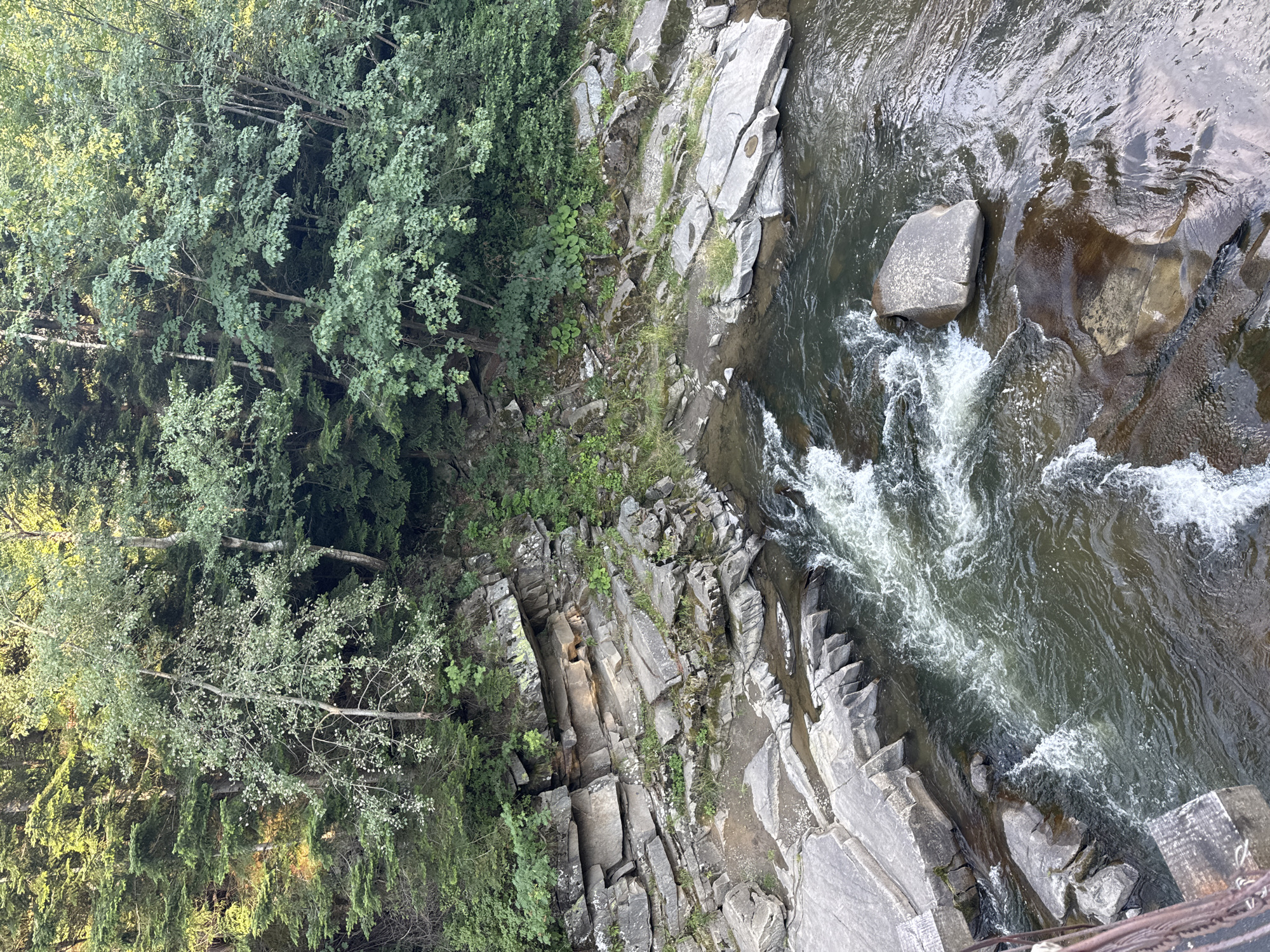 A high-angle shot captures a rocky river flowing through a lush, forested area. The water is a dark, murky green with white frothy rapids in the center. Large, grey, flat rocks line the riverbanks, some of which are partially submerged. Behind the rocks, a steep, rocky incline is covered in dense green foliage and trees. The trees are a mix of evergreens and deciduous trees with lighter green leaves. The scene is serene and natural, with no signs of human activity other than a glimpse of a brown, metal railing in the lower left corner, suggesting the vantage point is from a bridge or overlook. The lighting suggests it is daytime, possibly late afternoon, with some sunlight filtering through the trees. This scene is located in the Carpathian Mountains near Tatariv, Ukraine.