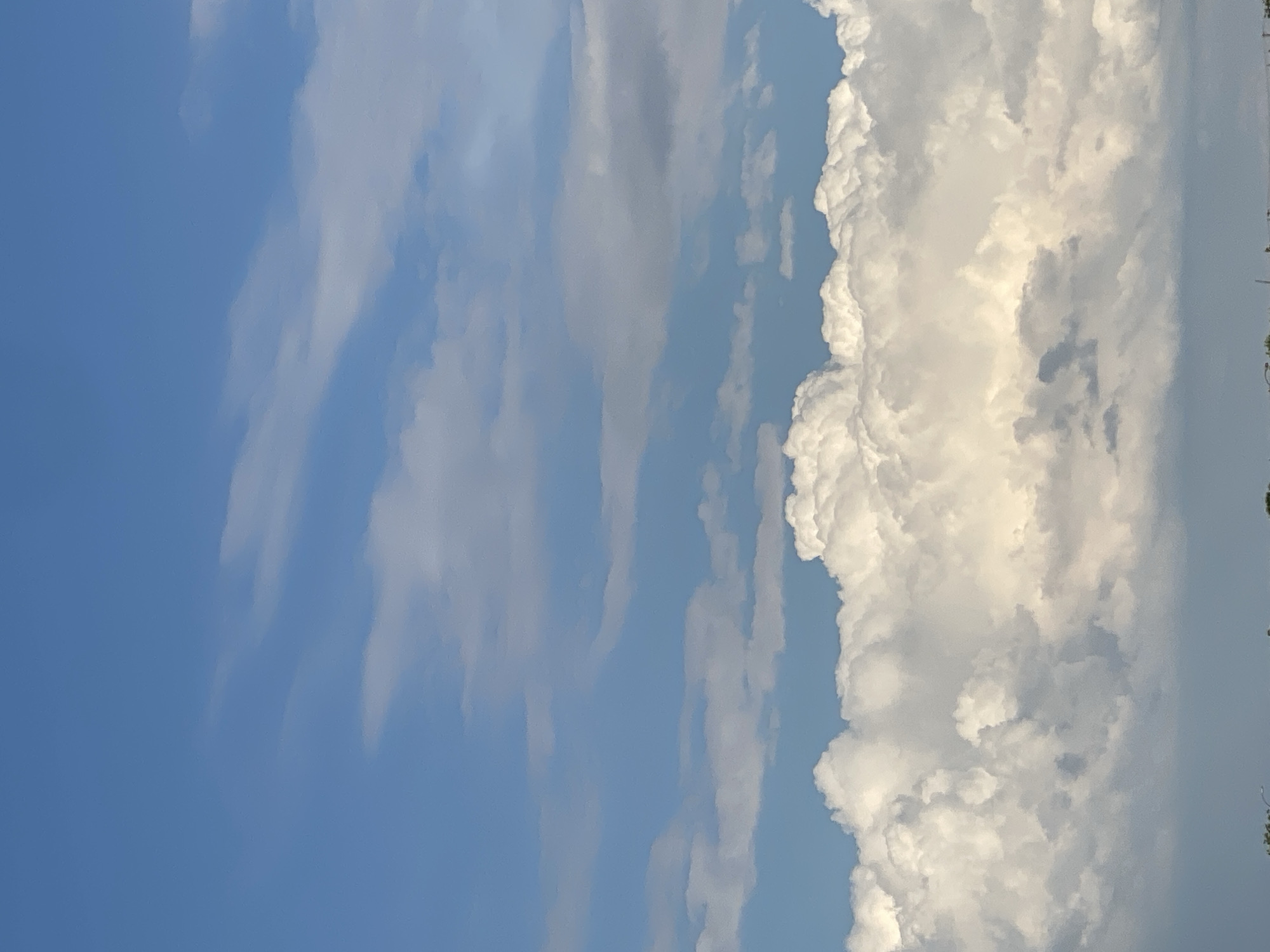 This is a photograph of a cloudy sky. The sky is blue with a variety of white and gray clouds. The clouds are dense and puffy at the bottom of the image, becoming thinner and more spread out towards the top. There are no people or structures visible in the image. The scene is entirely natural. The location is not discernible from the image.