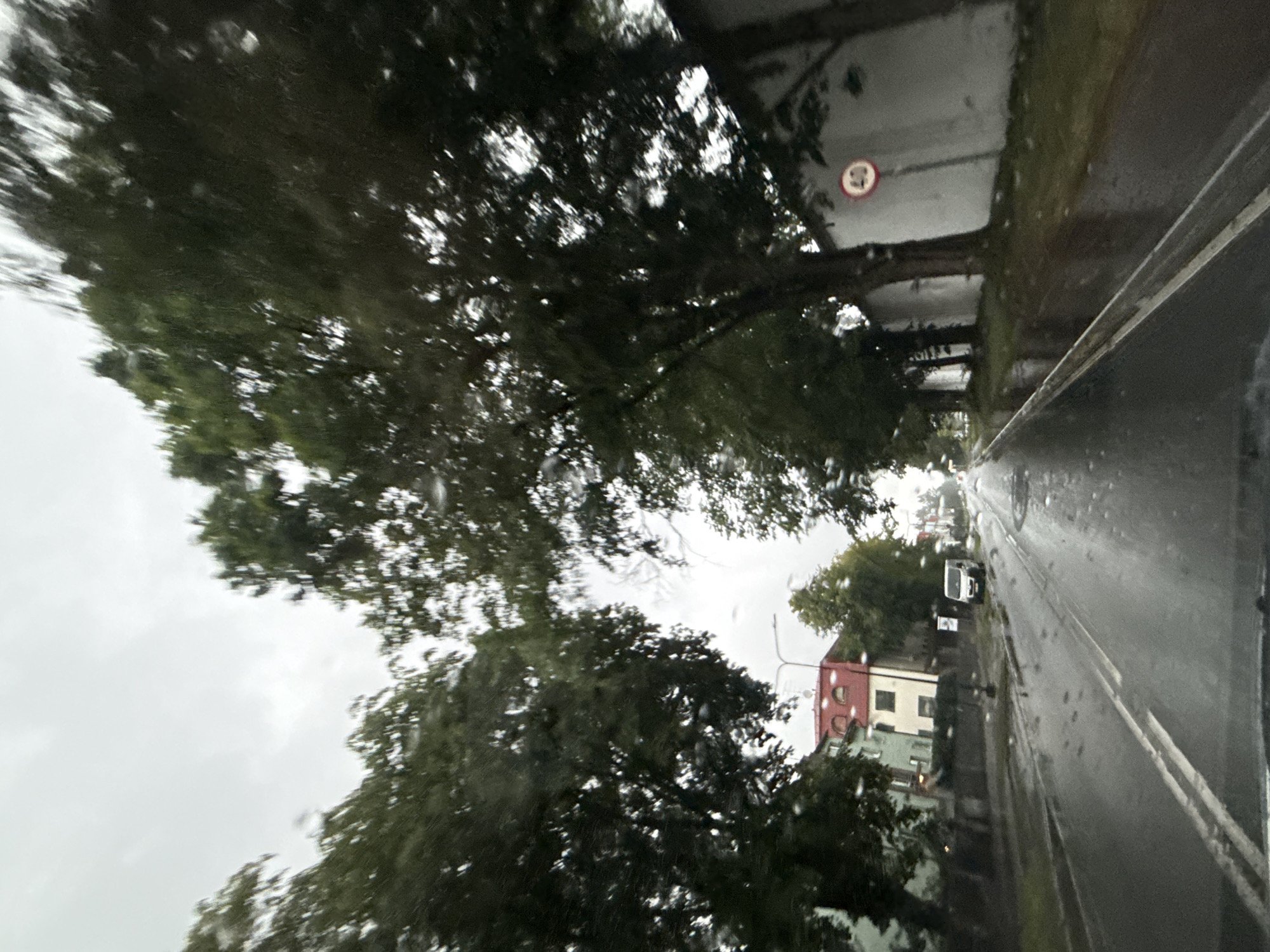 The image depicts a street scene in Tallinn, Estonia, during what appears to be rainy weather. The perspective is from within a vehicle, looking forward and slightly to the right. The road is wet and reflects the overcast sky and surrounding trees. Large trees with dark green foliage line the street, their leaves appearing somewhat blurred, suggesting either motion or raindrops on the camera lens.
On the left side of the road, there are buildings. One building in the foreground is light green, and further down the street, a building with a red roof and lighter colored walls is visible. A white van is parked on the side of the road. Streetlights are present.
On the right side of the road, there is a white wall bordering the street, with trees growing alongside it. A circular red and white speed limit sign indicating "40" is mounted on this wall. The grass area adjacent to the wall is green.
The sky is uniformly gray and cloudy, indicating overcast conditions. The overall impression is a somewhat gloomy, damp day in an urban setting. There are no visible people in the image.