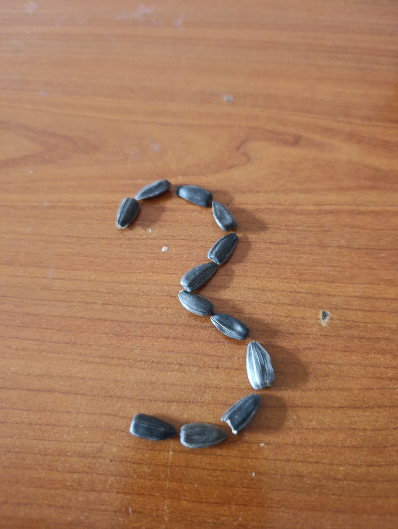 The image shows a close-up of sunflower seeds arranged in the shape of the letter "S" on a brown, wood-grain surface. The surface appears to be a table or counter. There are 11 seeds in total. The location is not specified, but it is mentioned as in city of Іргелі ауылдық округі, Kazakhstan.