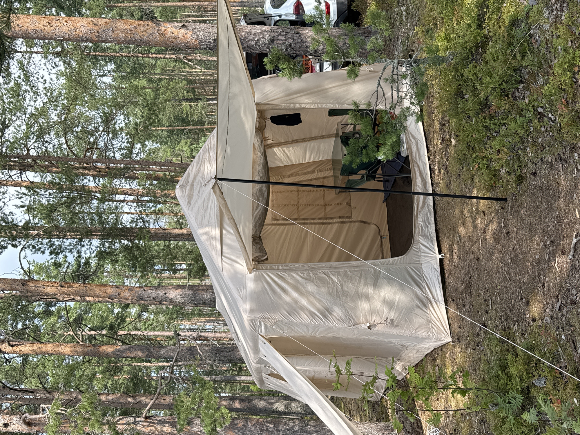 An elevated, eye-level, wide shot captures a large, tan, canvas tent pitched in a forest clearing. The tent has a central open doorway revealing a table and chairs inside. Sunlight filters through the tall, slender pine trees that surround the clearing, casting shadows on the forest floor, which is covered in pine needles, cones, and low-lying green vegetation. A white SUV is partially visible behind the tent to the right, with its rear hatch open. The scene appears to be a campsite, likely in a remote or natural setting.