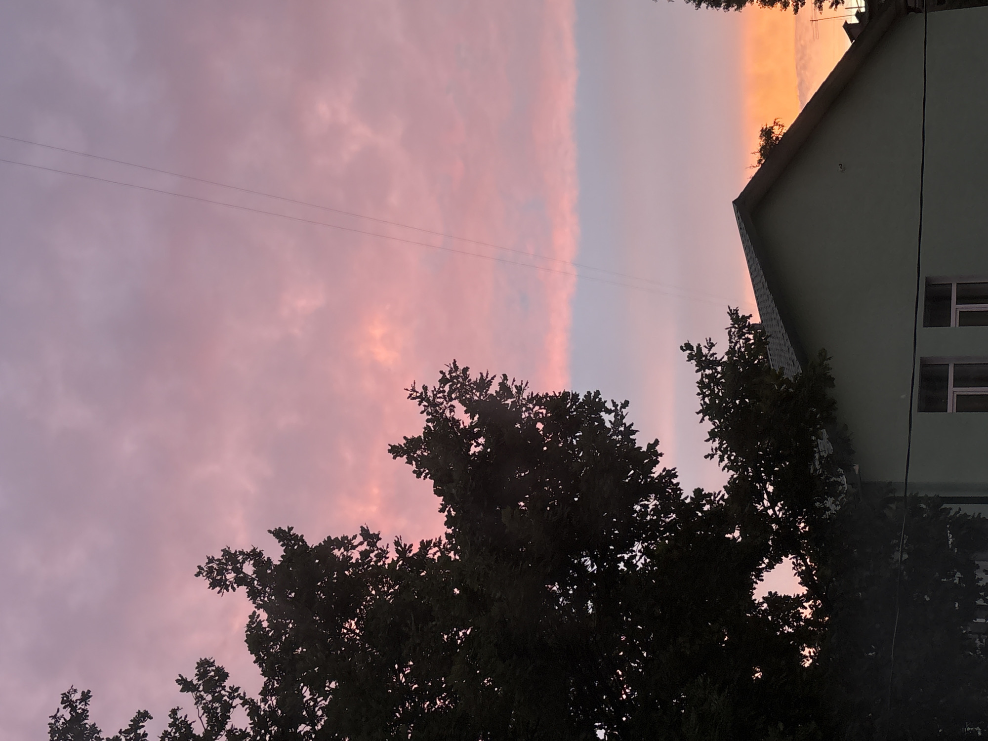 The image depicts a suburban scene at dusk in Saint Petersburg, Russia. A large, dark-leaved tree dominates the left side of the frame, its branches silhouetted against a sky awash in soft pink and orange hues. Two thin wires stretch diagonally across the sky. In the lower right quadrant, the triangular roof of a light green, single-story building is visible, with a hint of orange sky peeking from behind its edge. The overall impression is one of a peaceful, late evening in a residential area, with the beauty of a sunset illuminating the sky. There are no people or animals visible in the image.